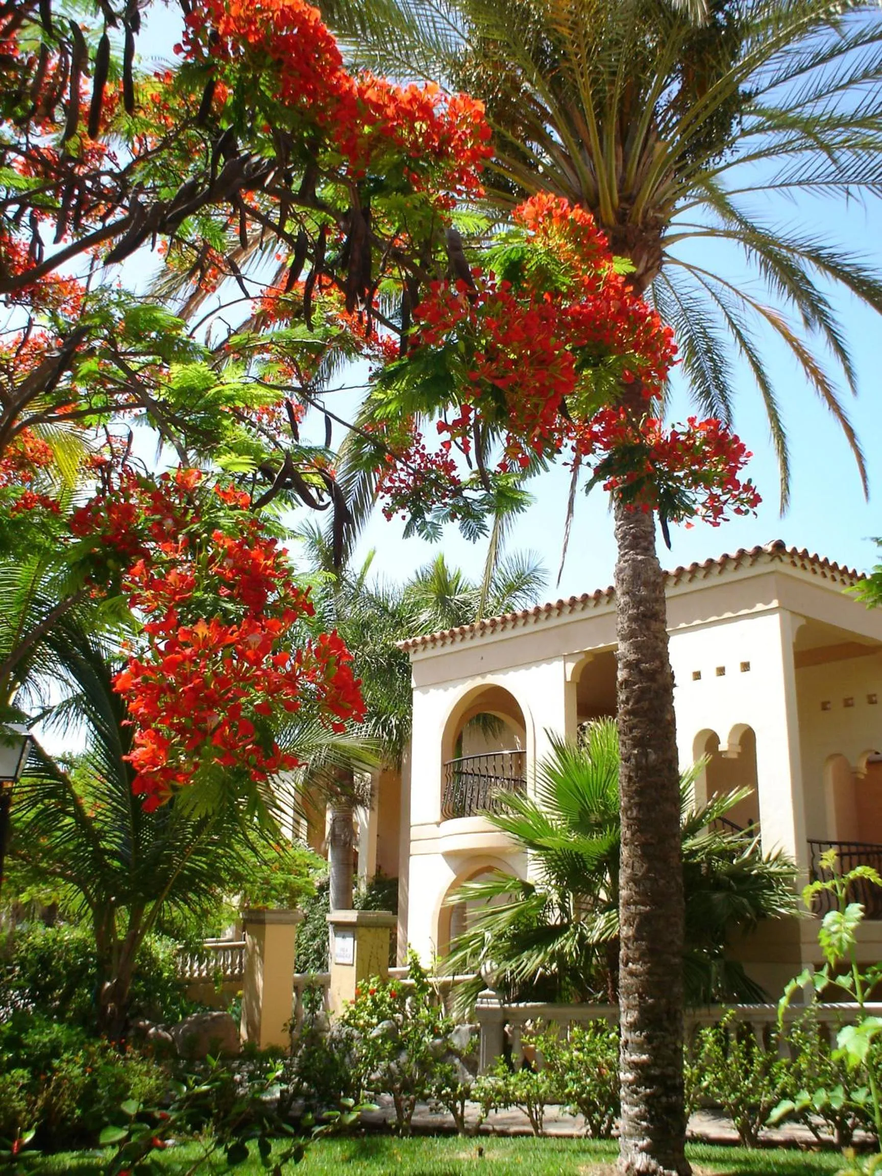 Facade/entrance in Palm Oasis Maspalomas