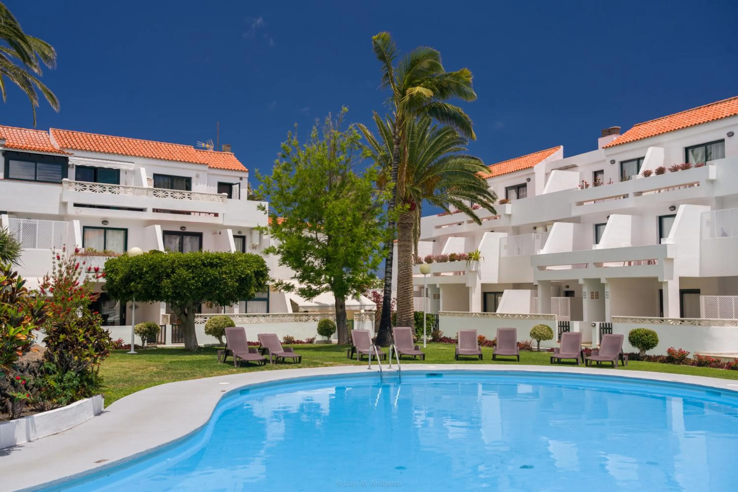 Pool view in Apartamentos Los Rosales