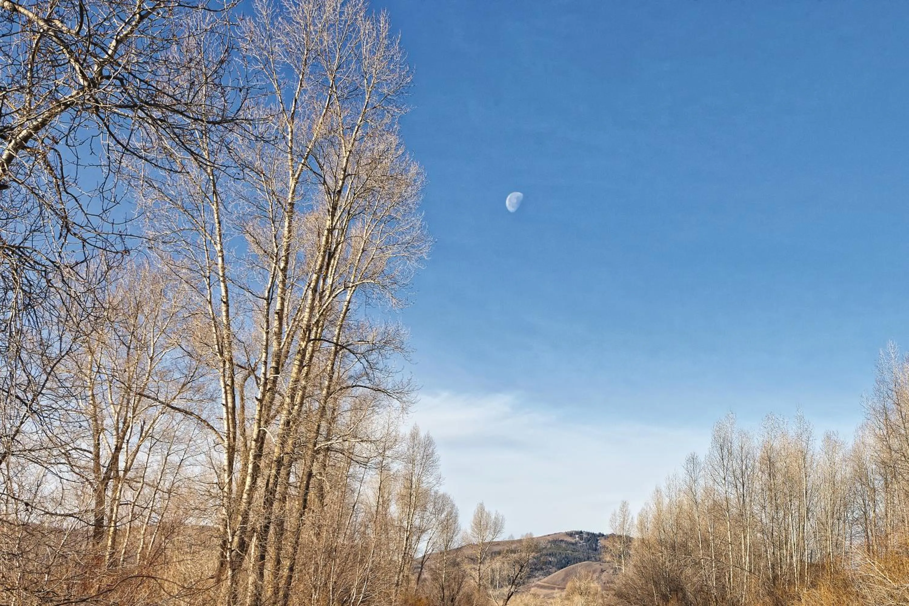 Natural landscape in WorldMark Granby - Rocky Mountain Preserve