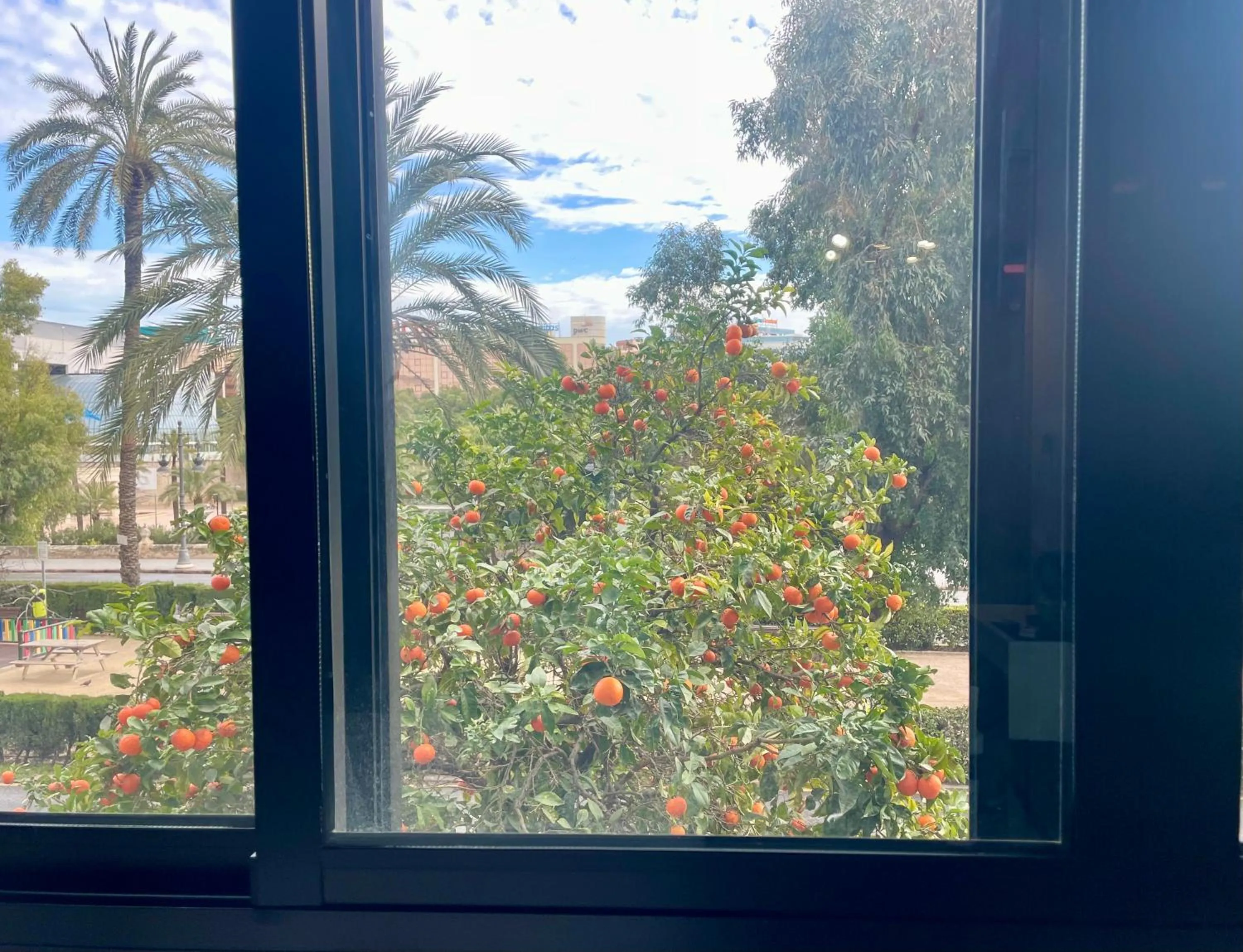 Garden view in MD Modern Hotel - Jardines