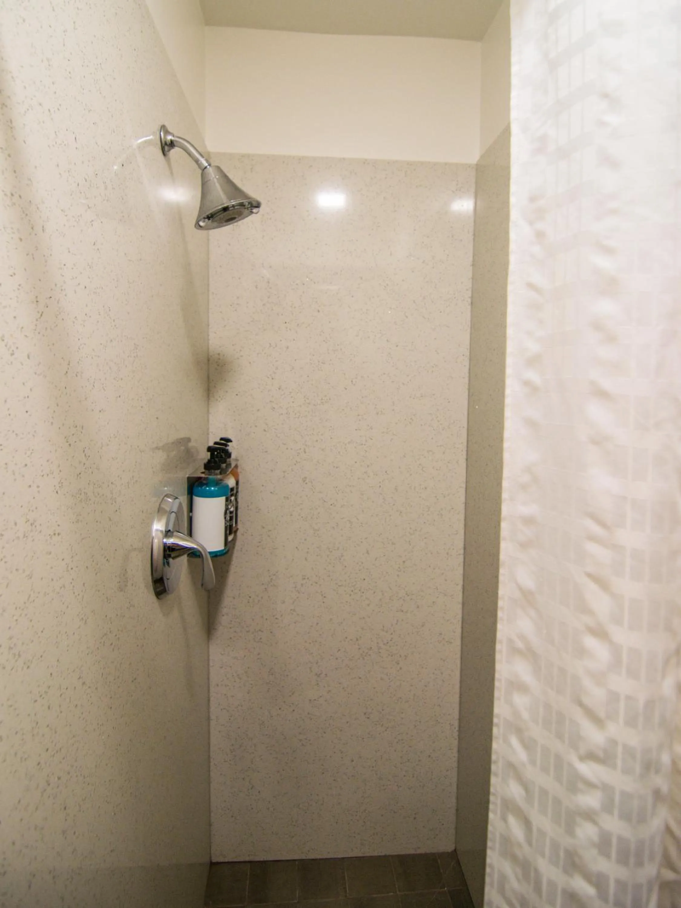 Shower in The Bartlett Hotel and Guesthouse