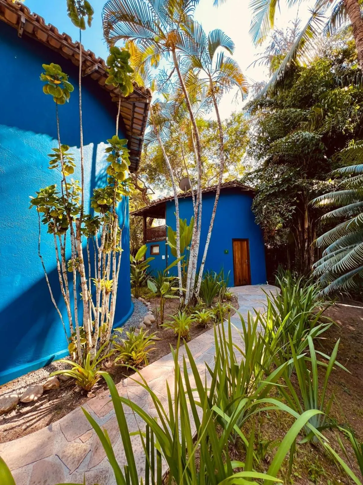 Spring in Pousada Jacarandá