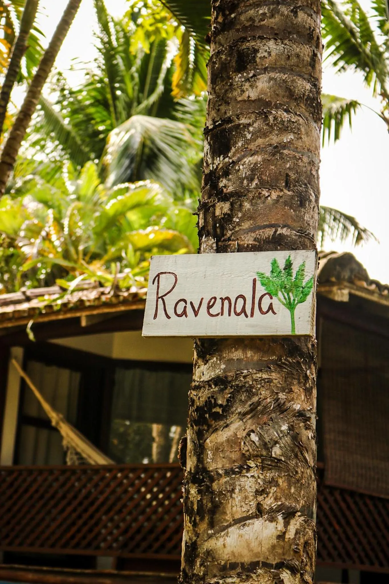 Garden in Pousada Jacarandá