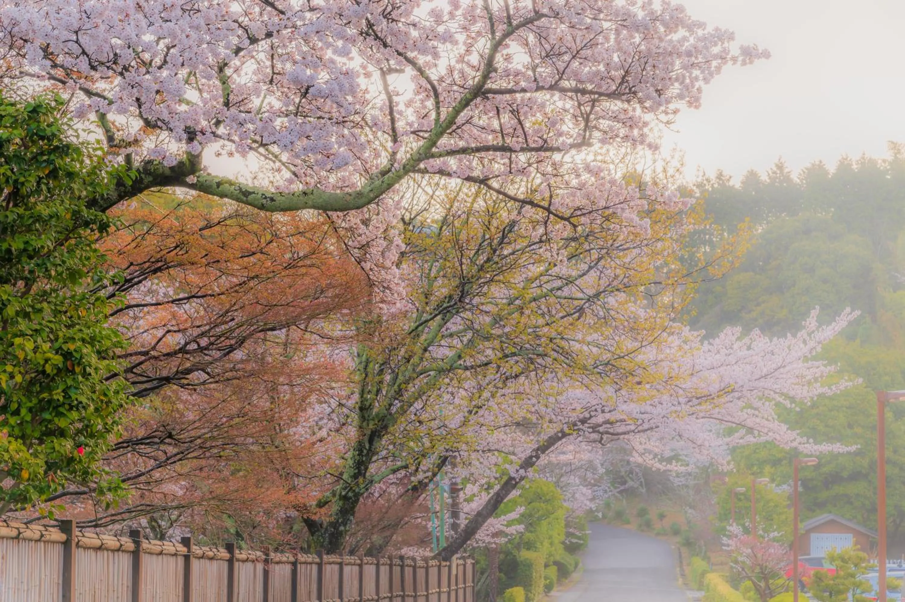 Garden view in Motoyu Kosenkaku
