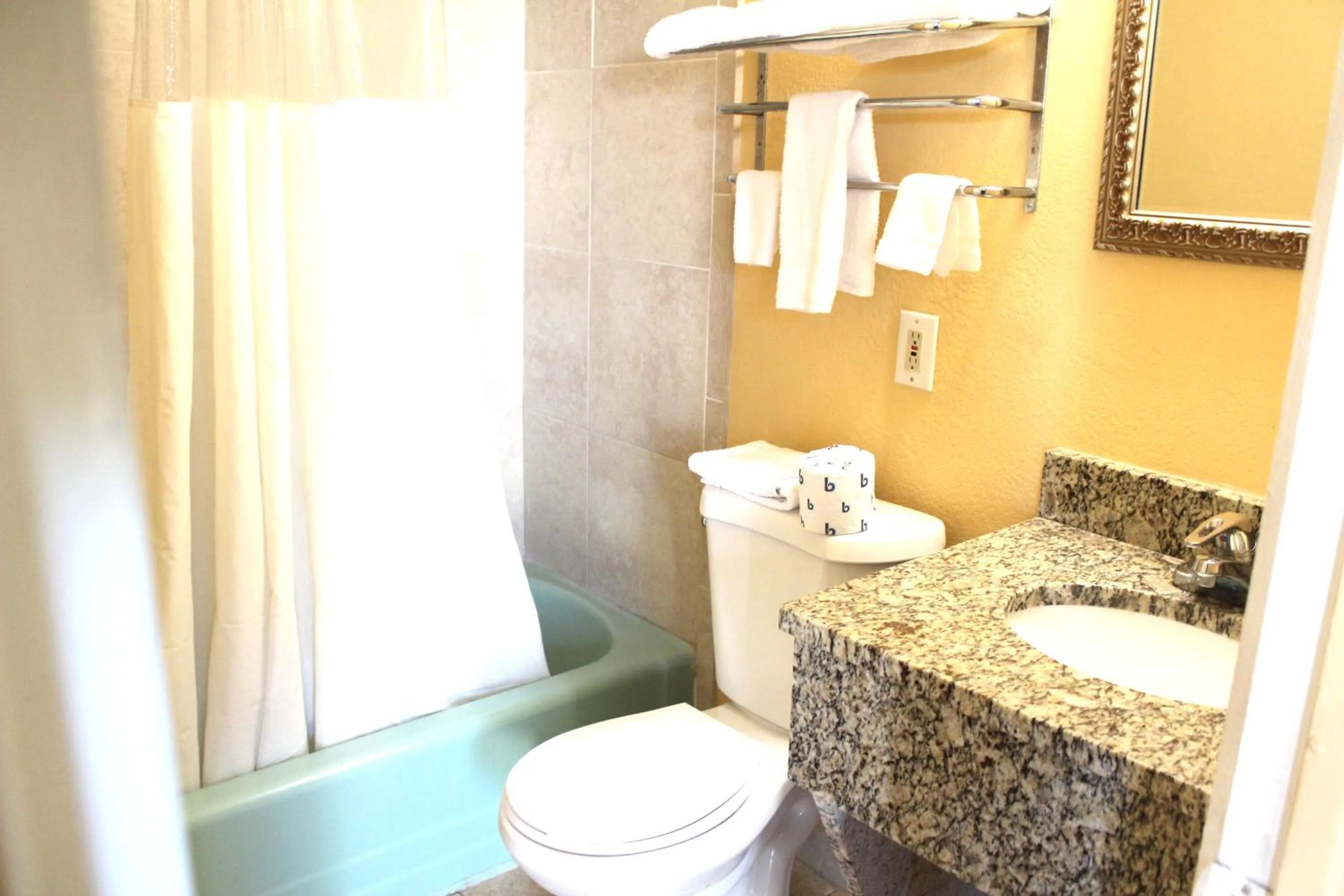 Bathroom in Budget Inn - St. Petersburg