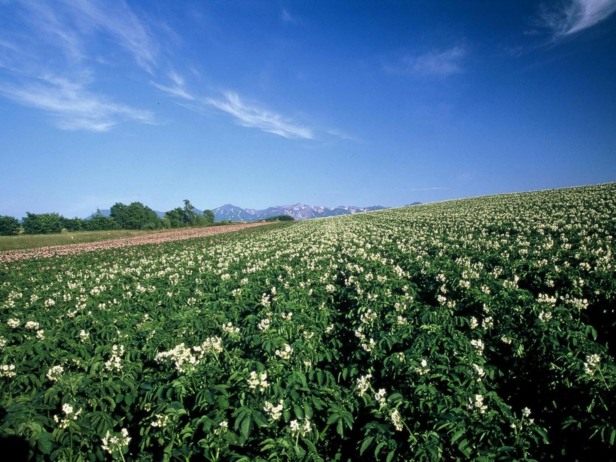 Summer in Hotel Sunfuraton