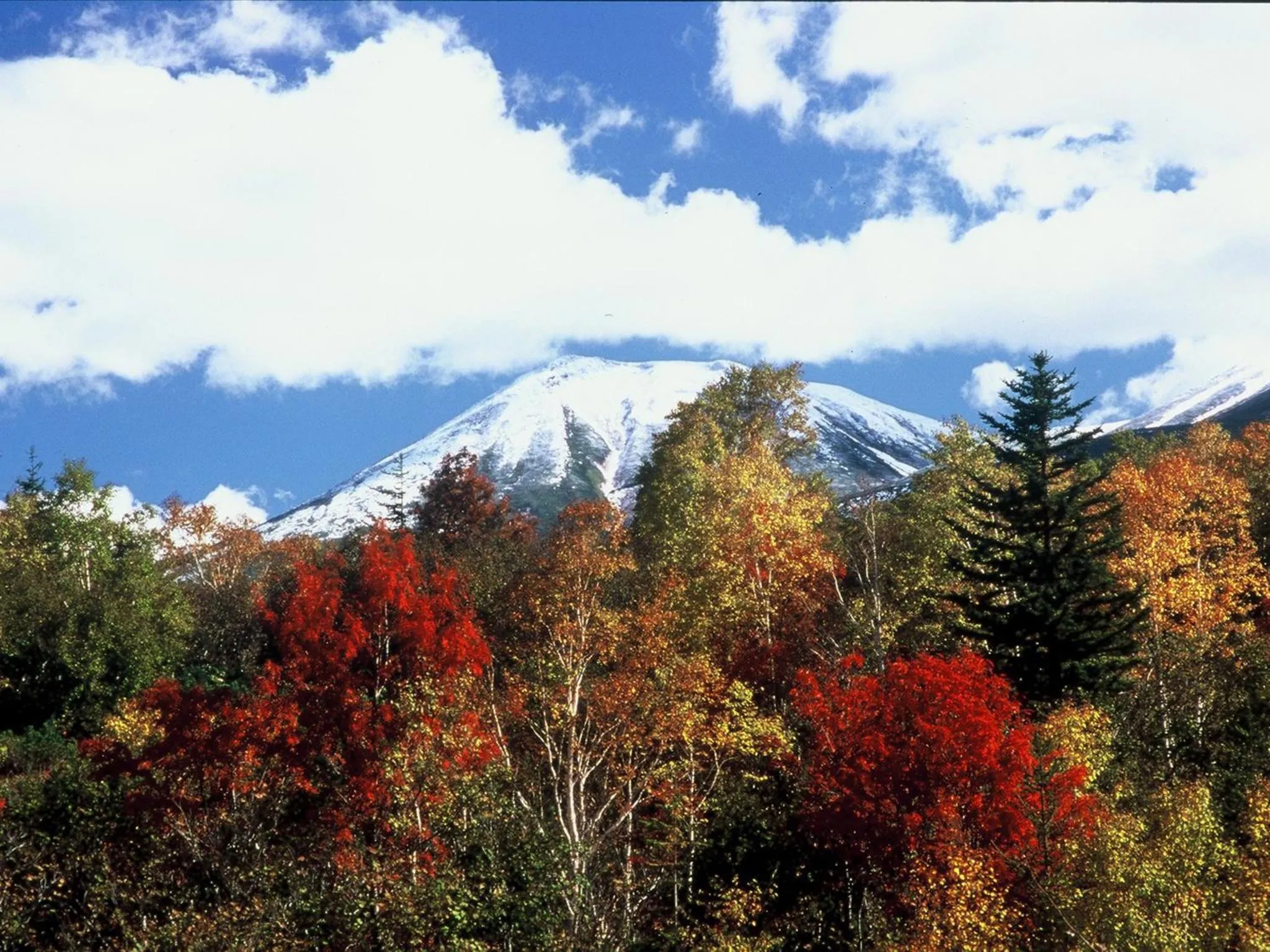 Natural landscape in Hotel Sunfuraton