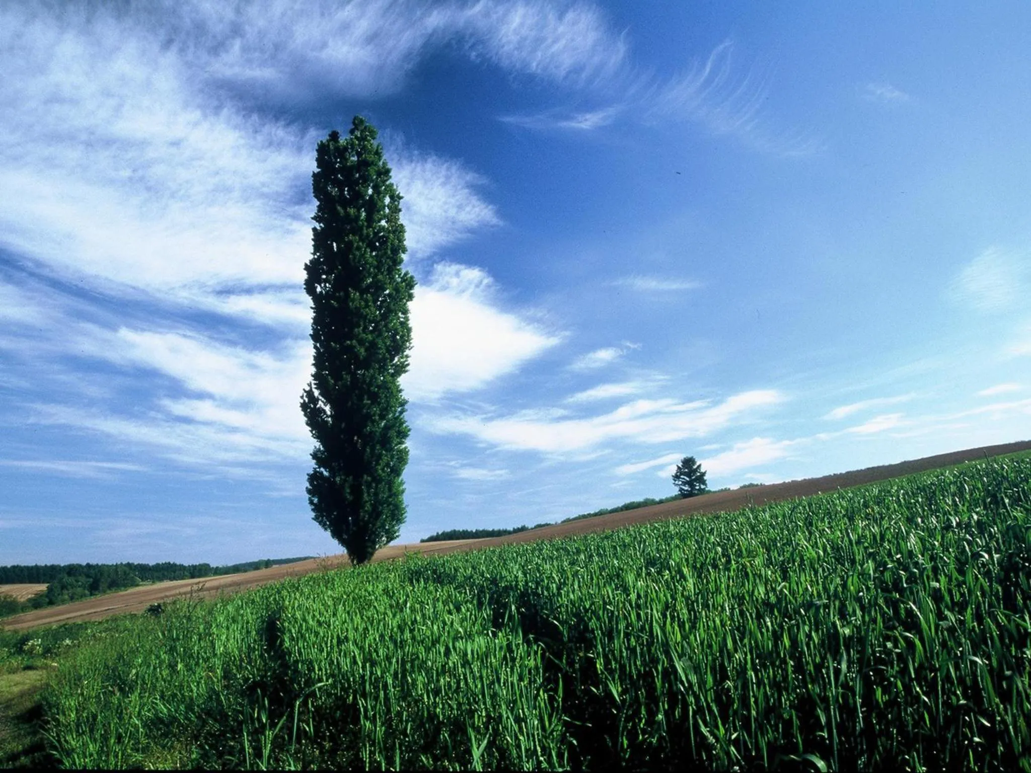 Natural landscape in Hotel Sunfuraton