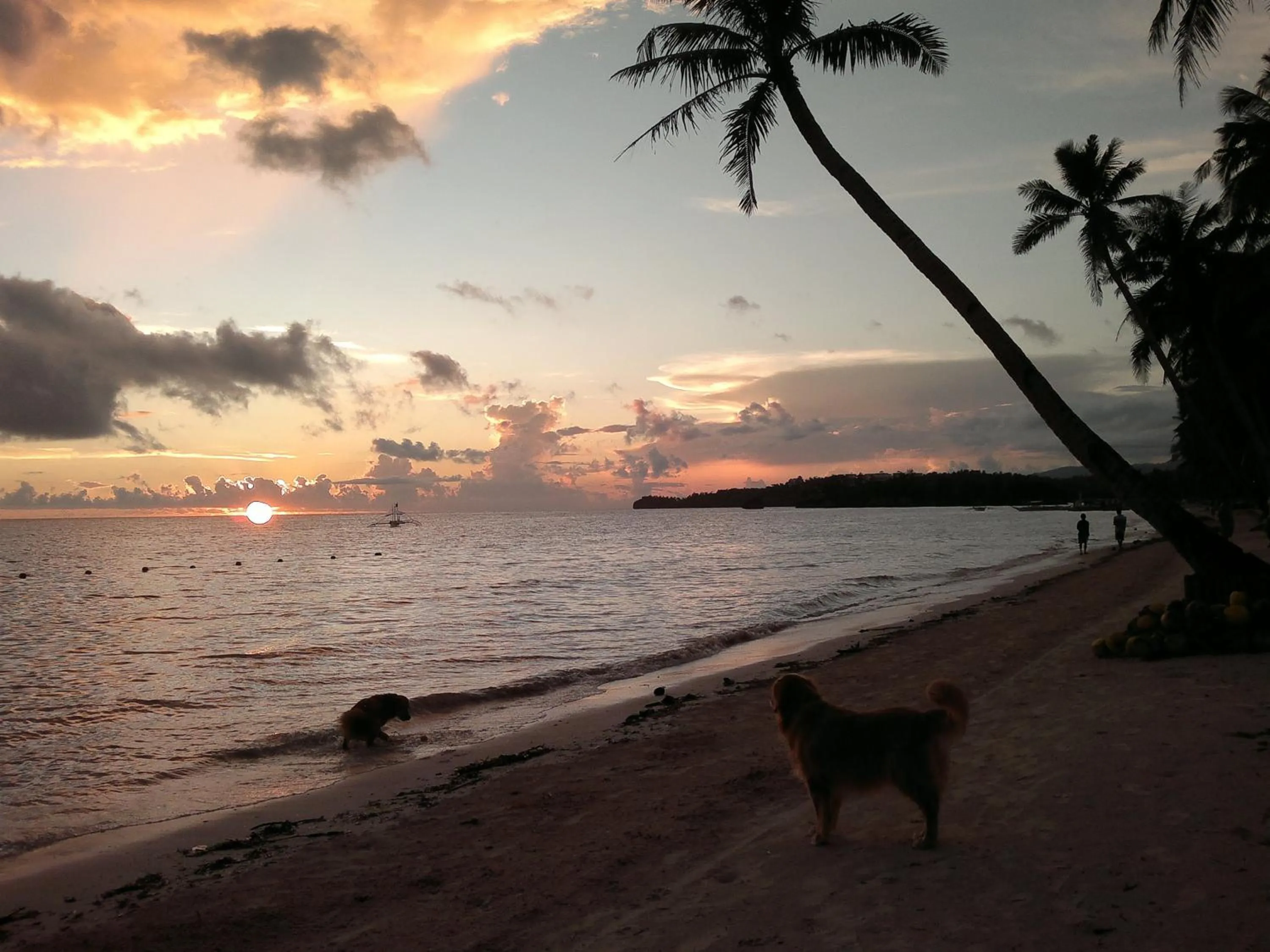 Area and facilities in Lazy Dog Bed & Breakfast