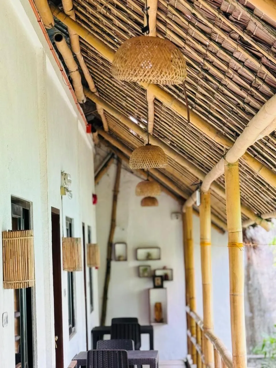 Lazy Dog Bed & Breakfast