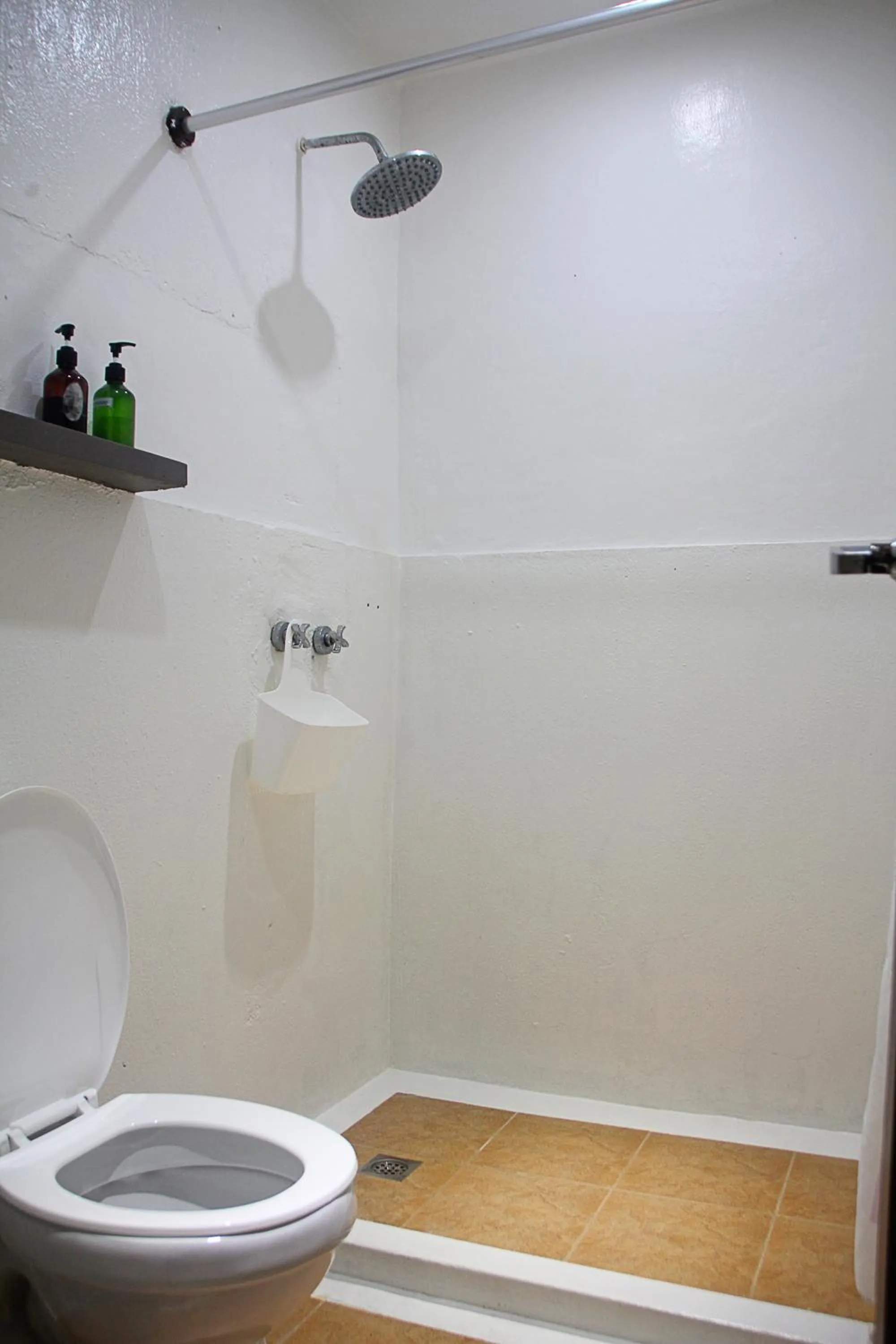 Shower in Lazy Dog Bed & Breakfast