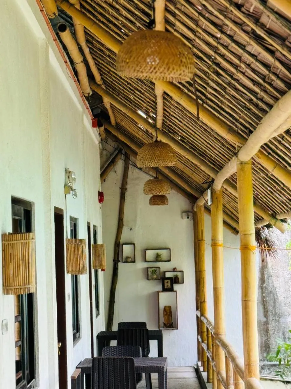 Lazy Dog Bed & Breakfast