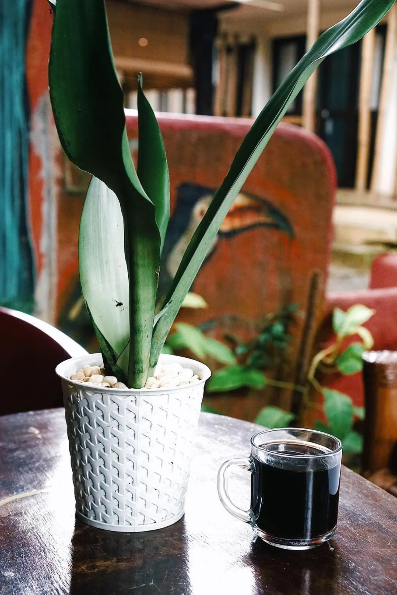 Lobby or reception in Lazy Dog Bed & Breakfast