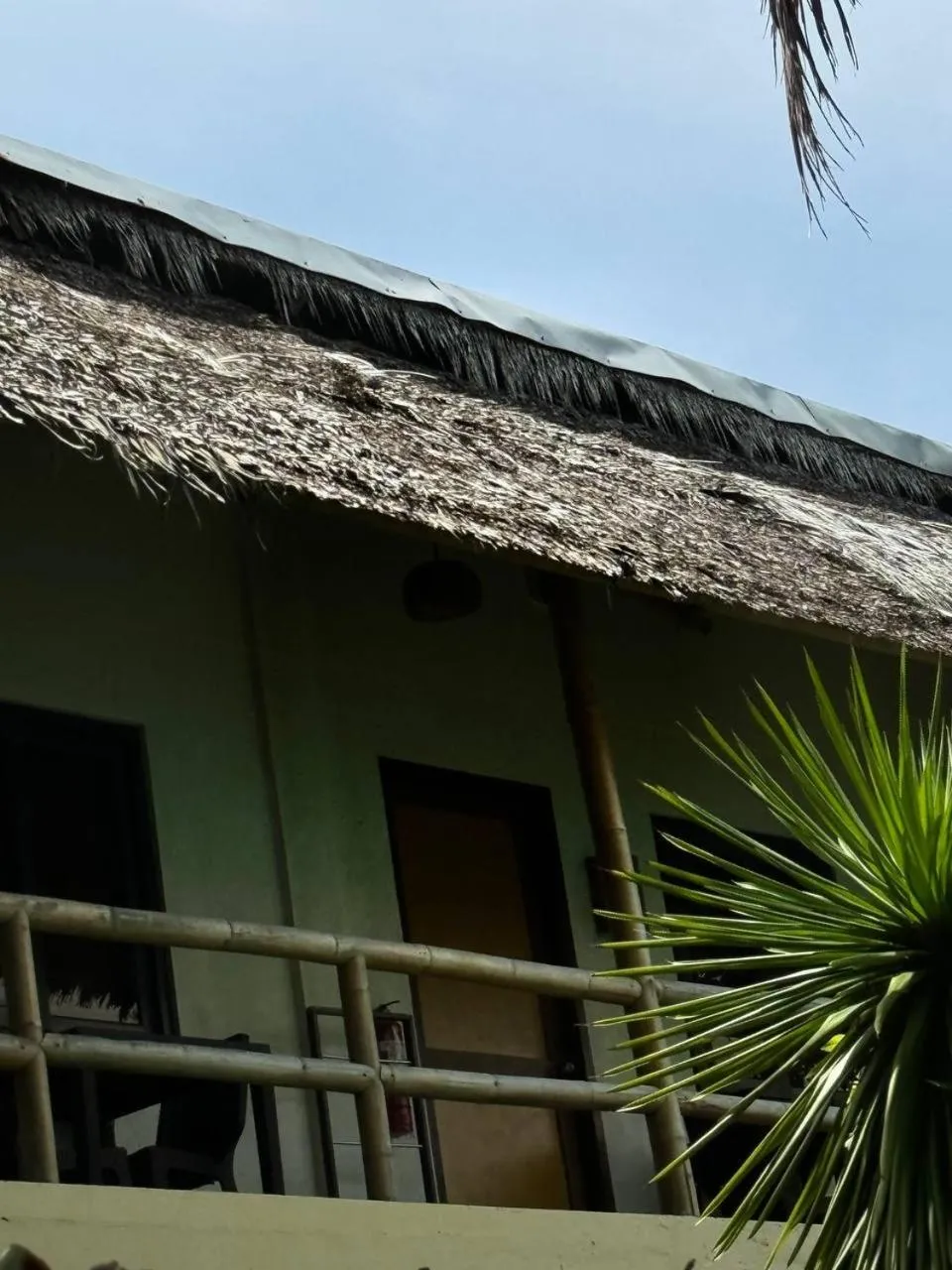 Lazy Dog Bed & Breakfast