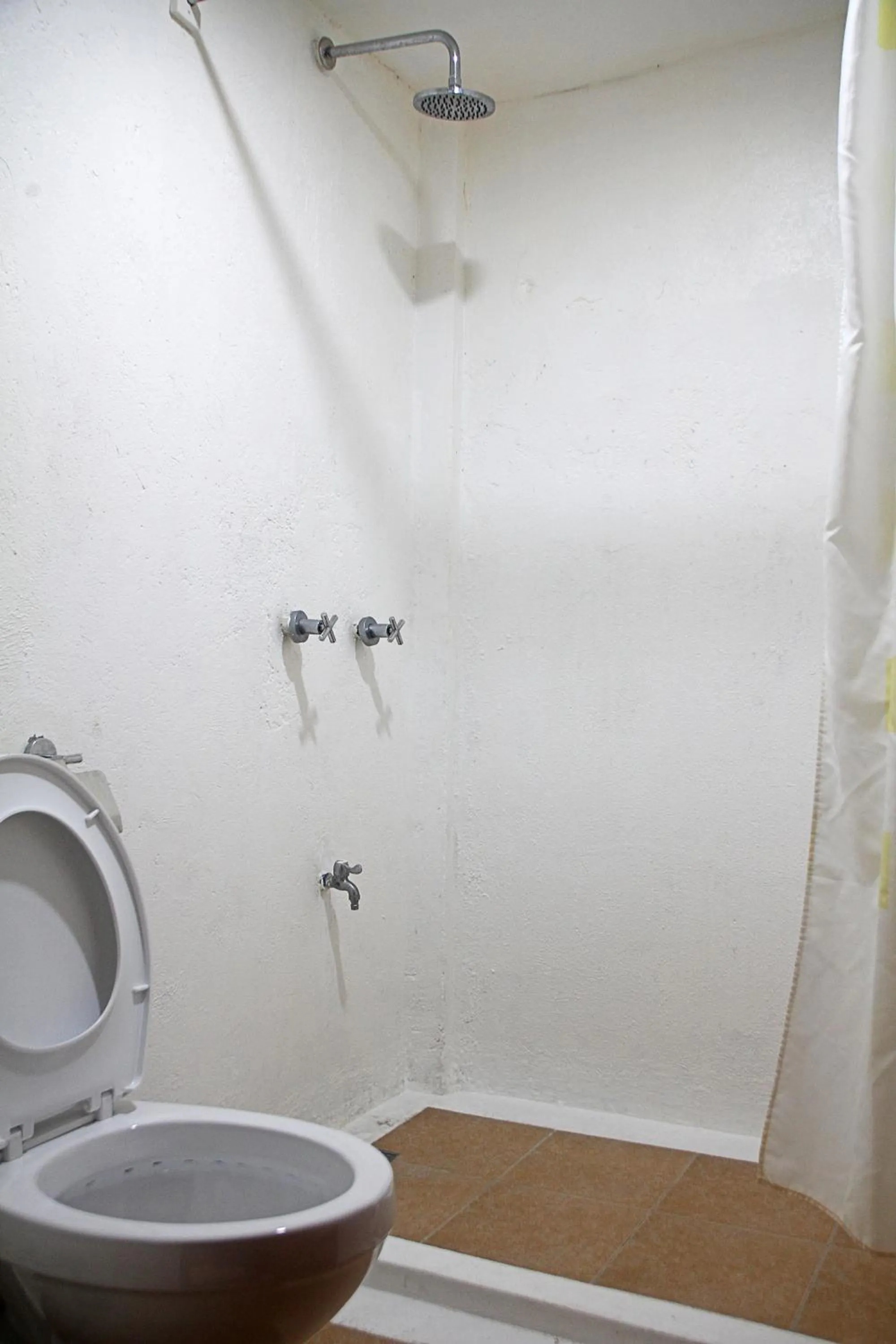 Lazy Dog Bed & Breakfast