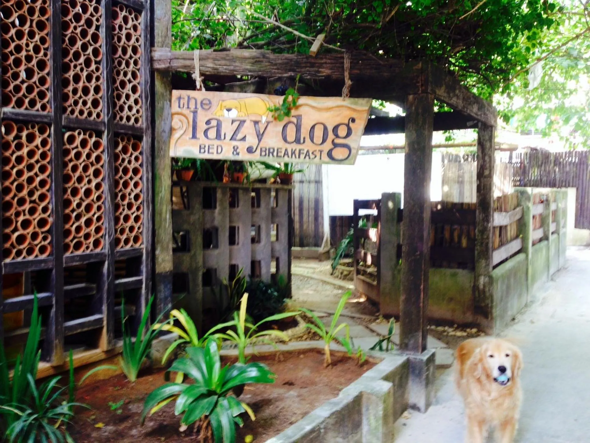 Facade/entrance in Lazy Dog Bed & Breakfast
