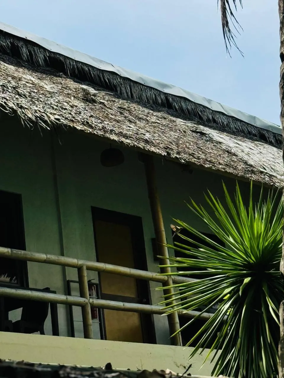 Lazy Dog Bed & Breakfast