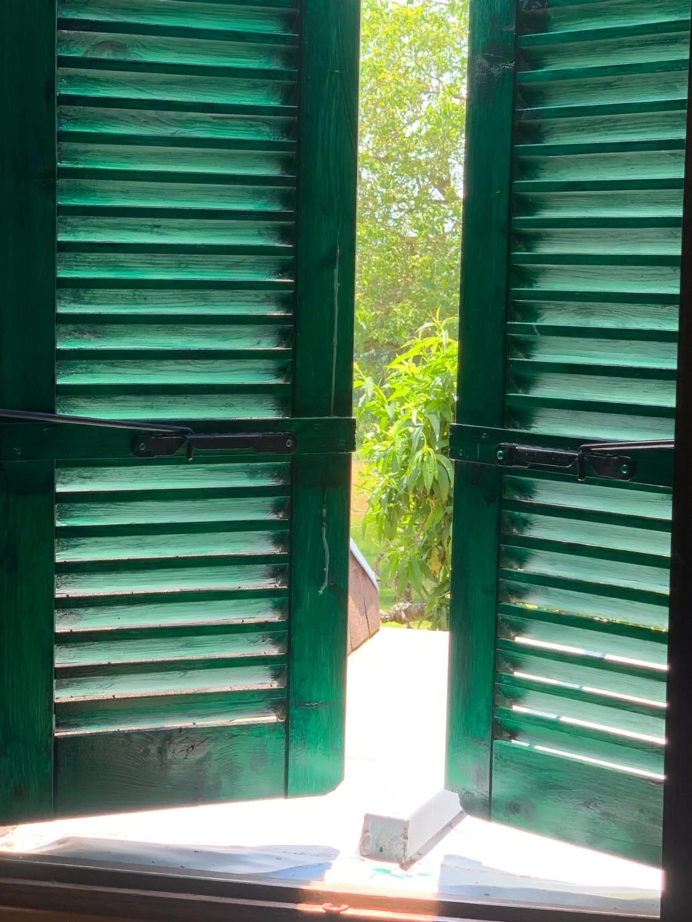 Garden view in CHAMBRES D' HOTES LA LISON