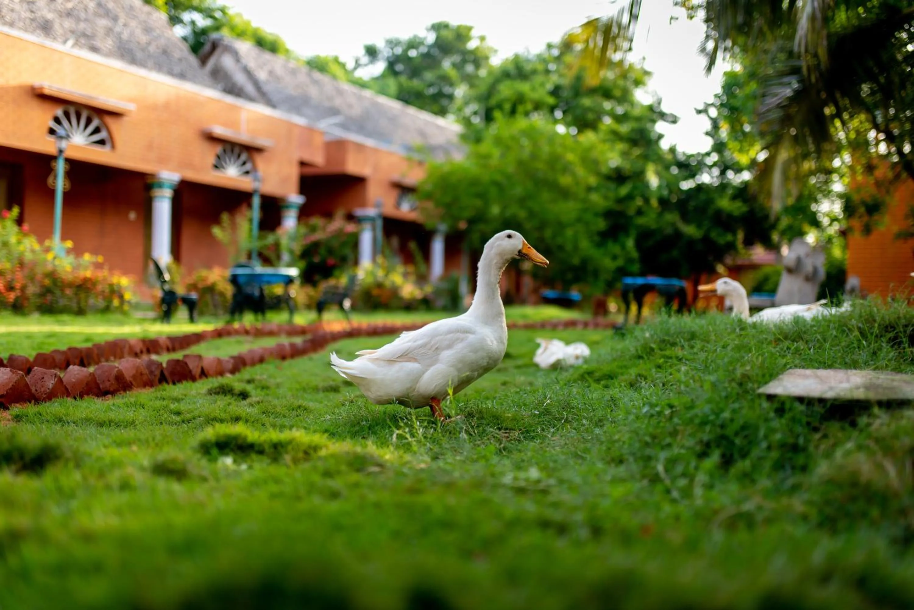 Chettinadu Court- HERITAGE VIEW