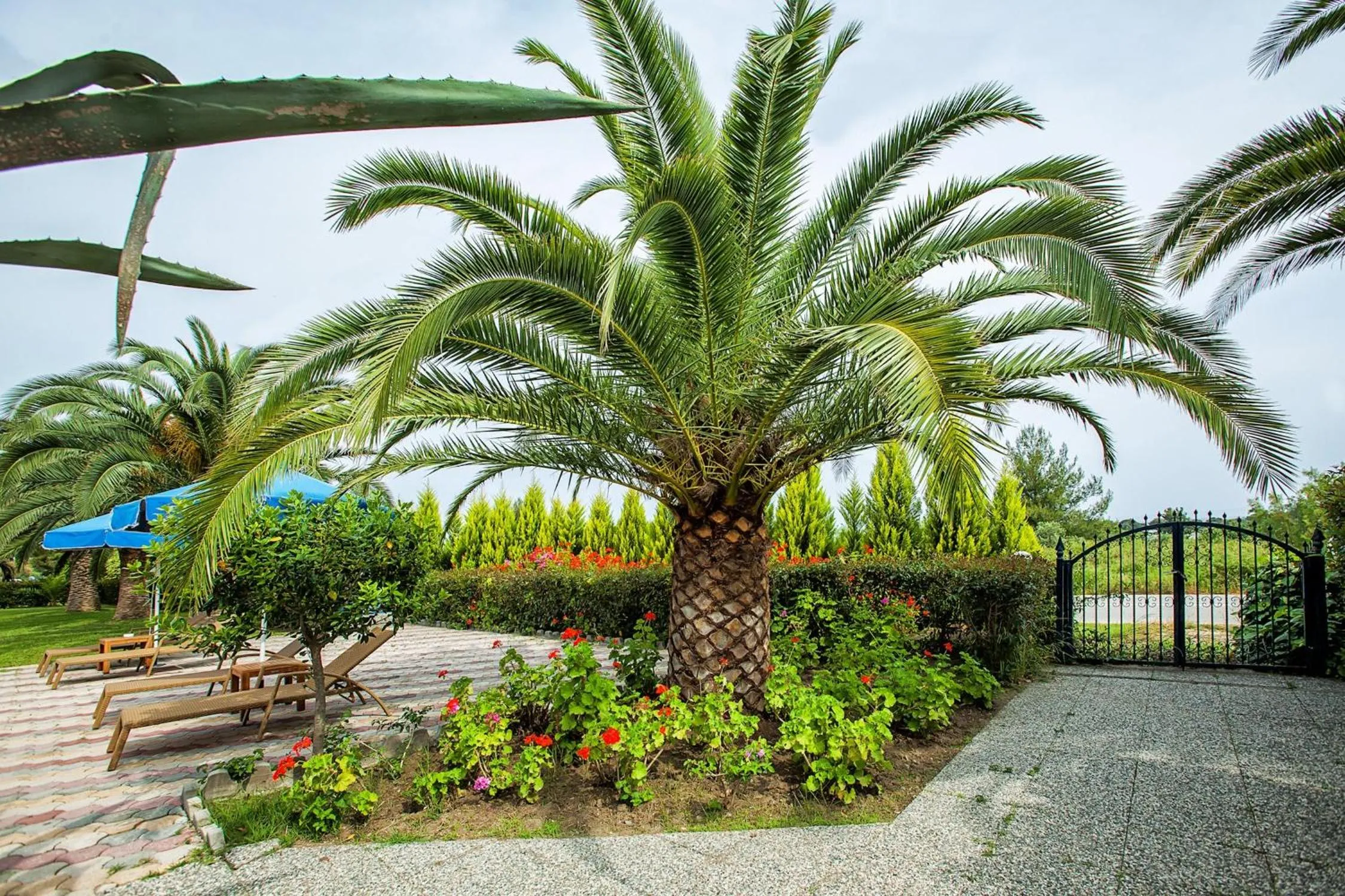 Garden in Xenios Port Marina Hotel