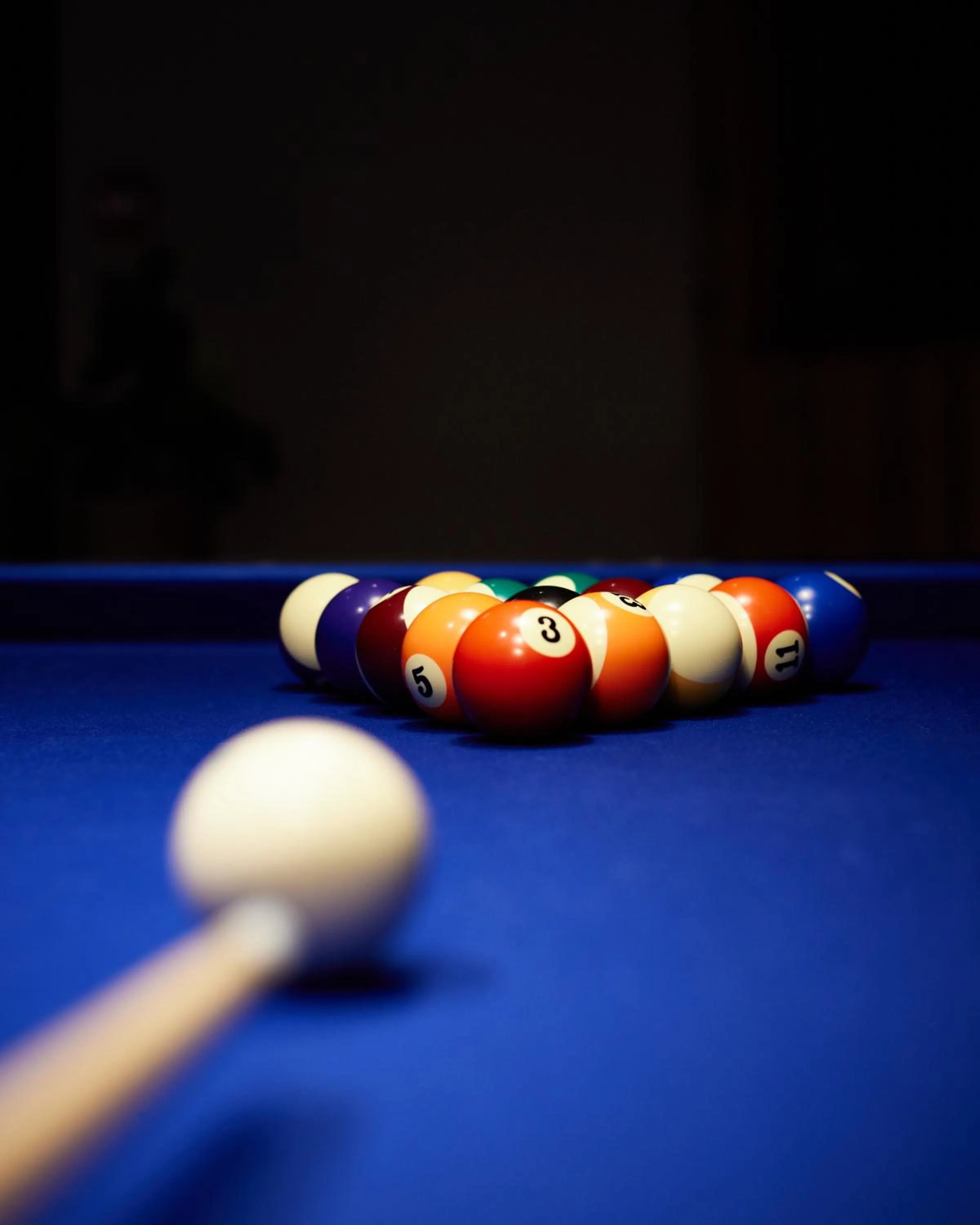 Activities in Hótel Kría