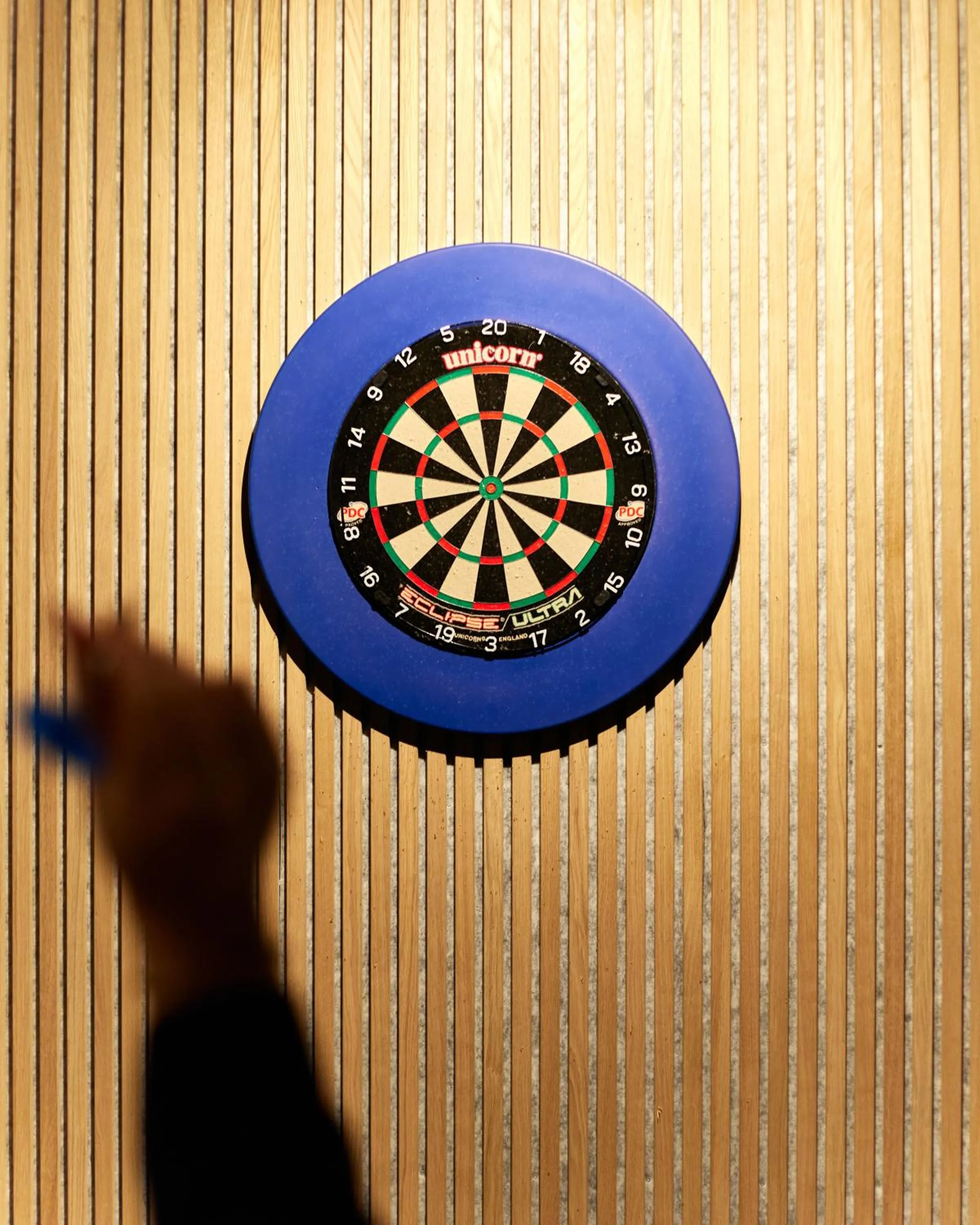 Activities in Hótel Kría