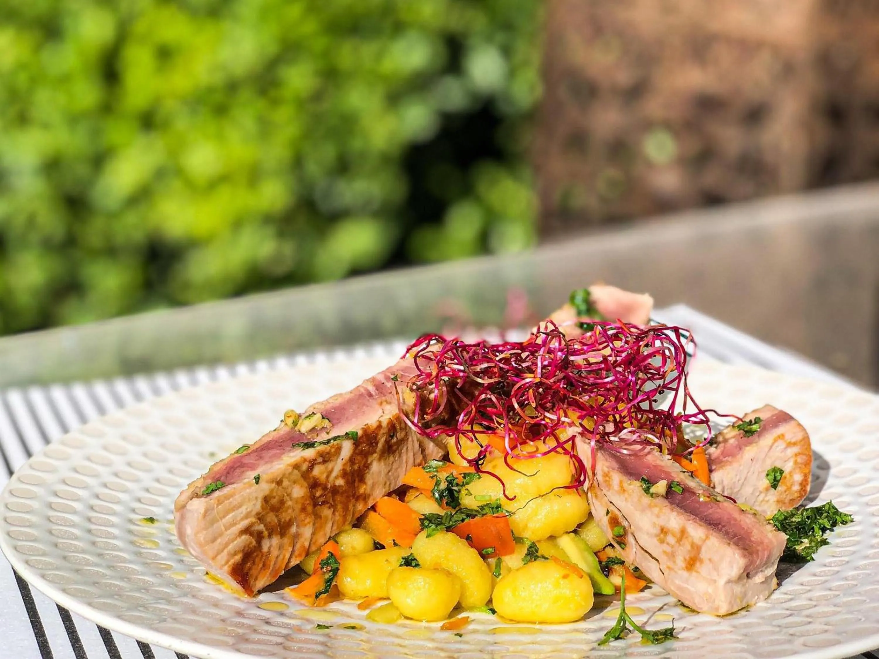 Restaurant/places to eat in Novotel Avignon Centre