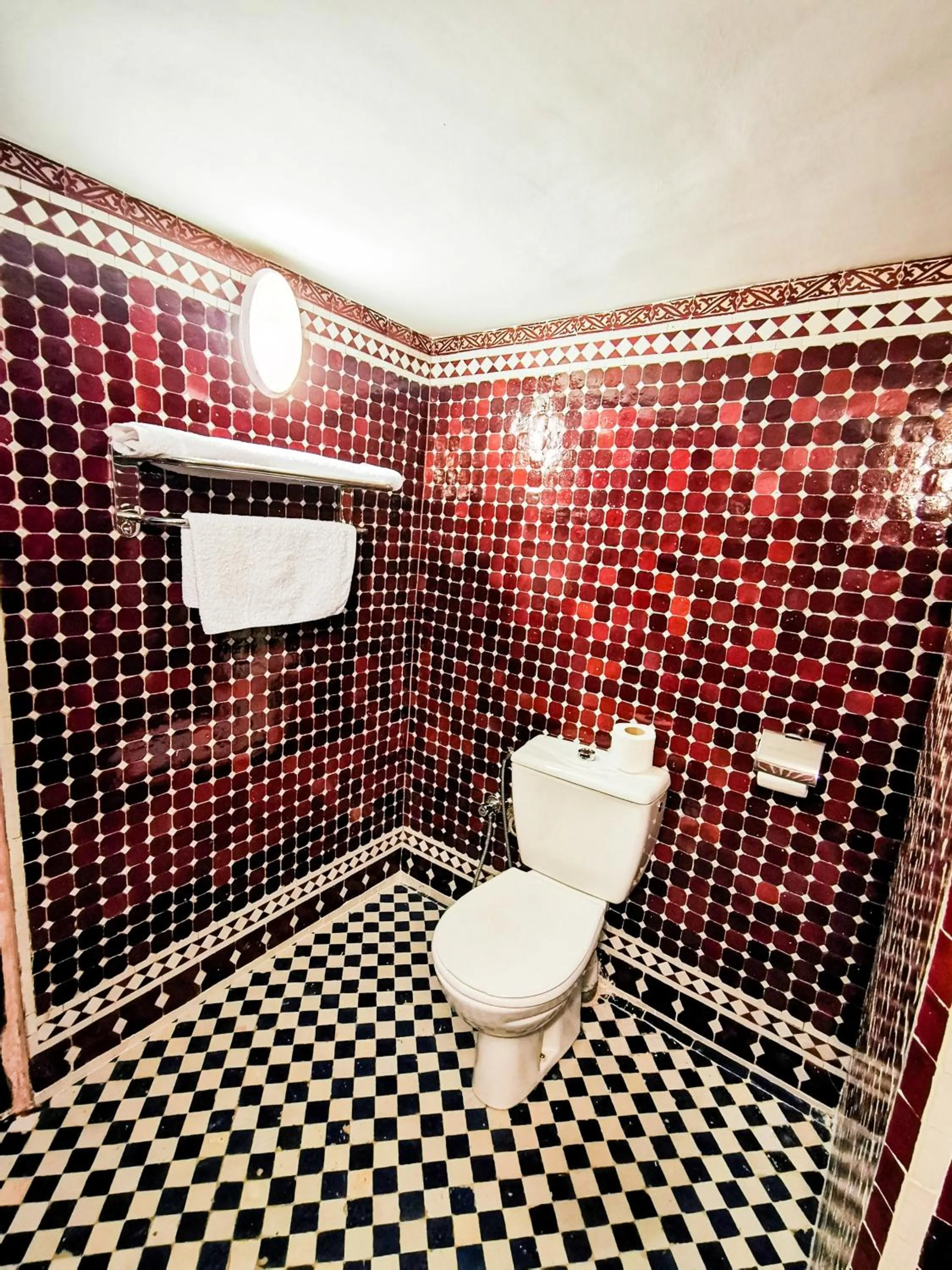 Toilet in Riad Farah