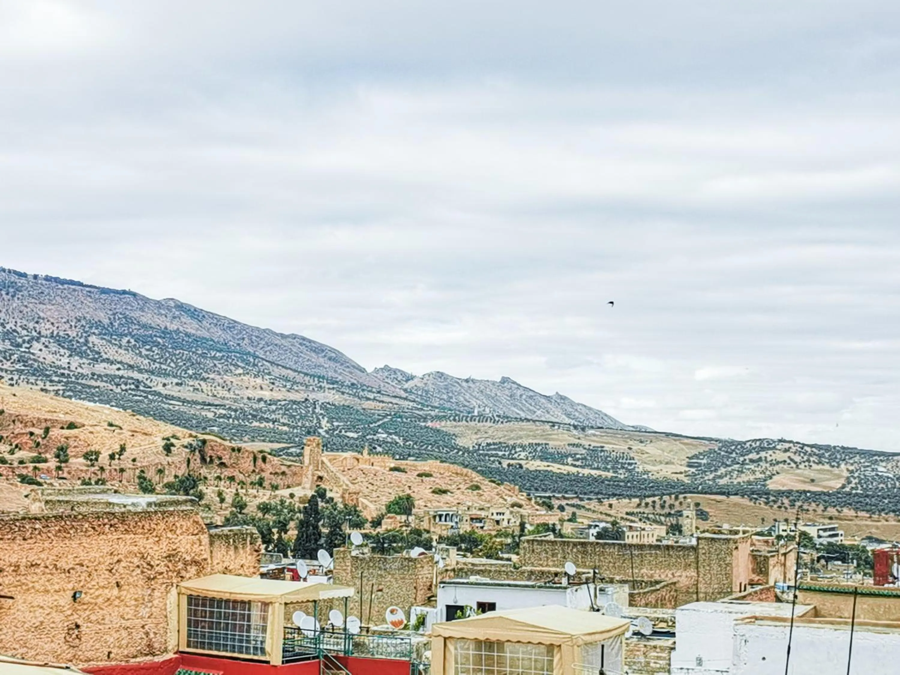 City view in Riad Farah