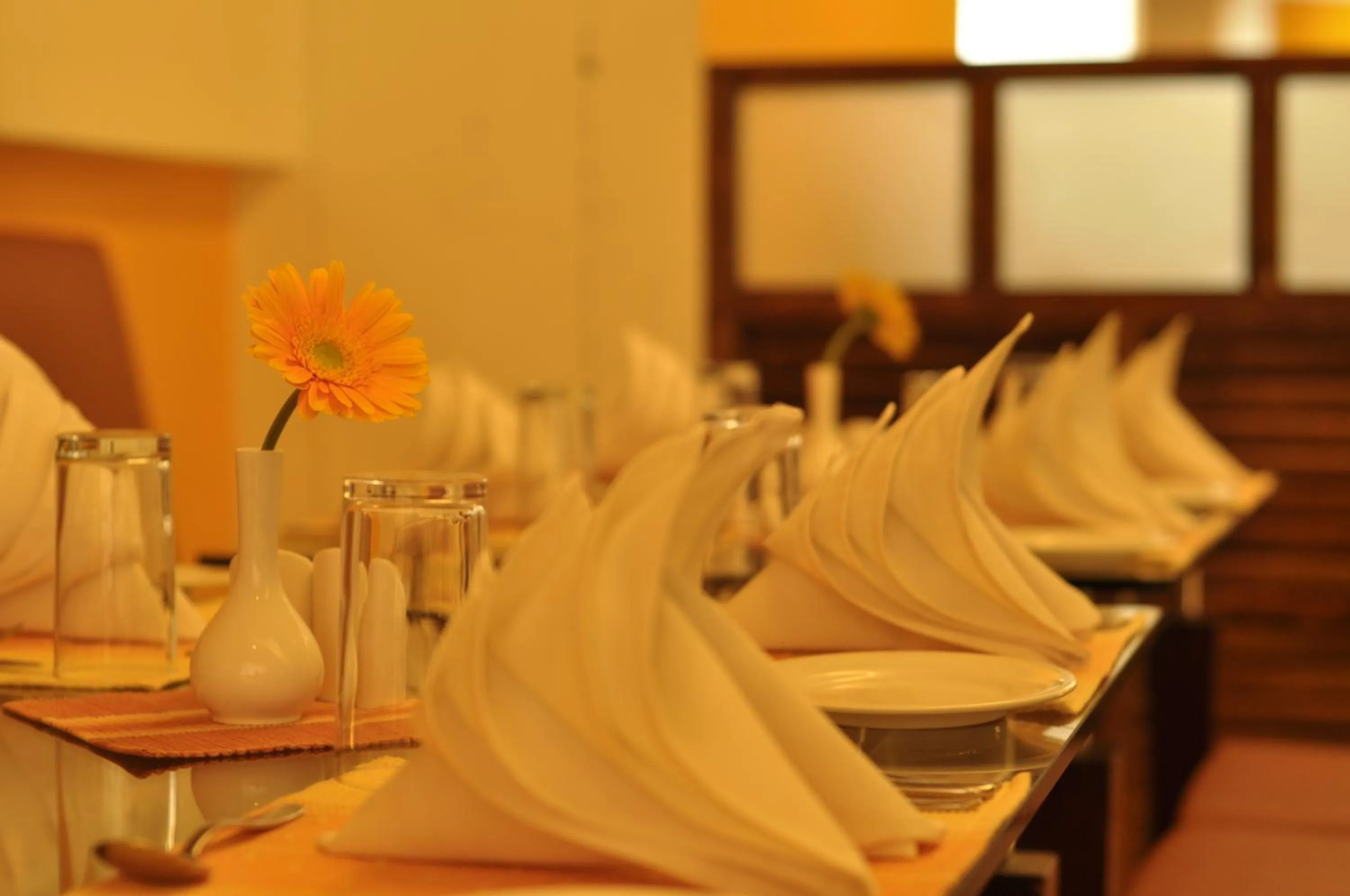 Restaurant/places to eat in Hotel Atithi