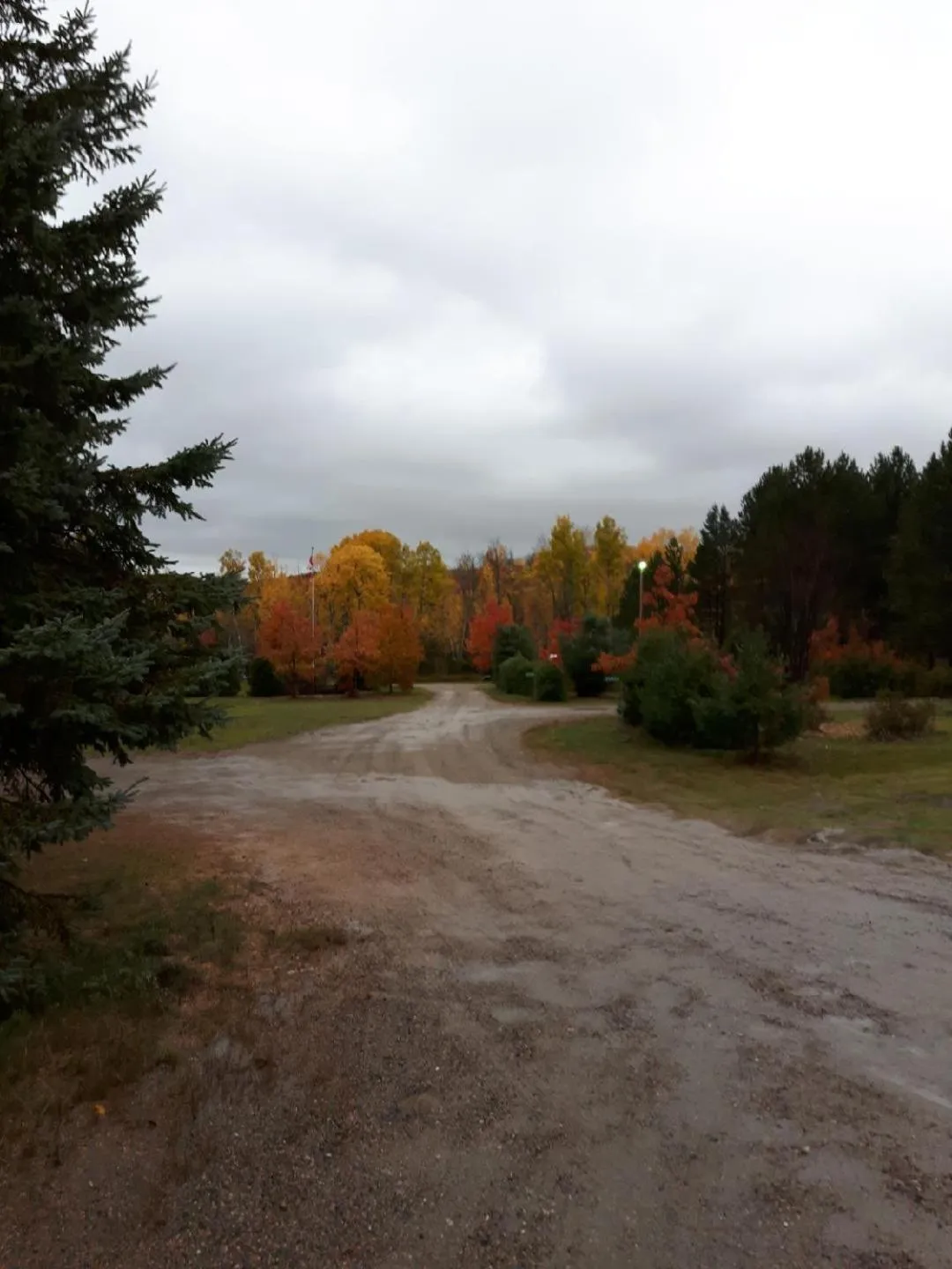 Four Seasons Algonquin Cabins