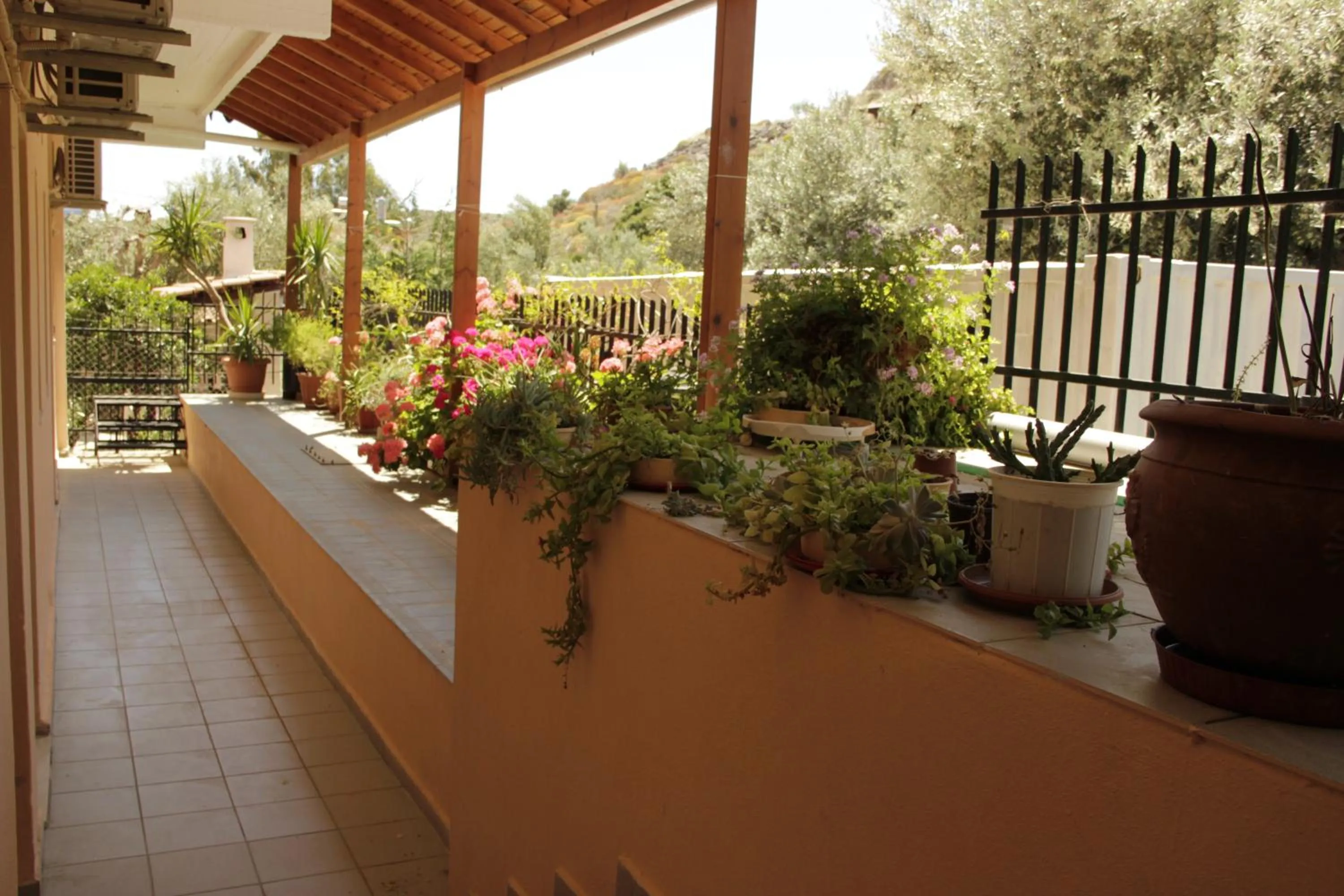 Garden in Hotel Galaxias