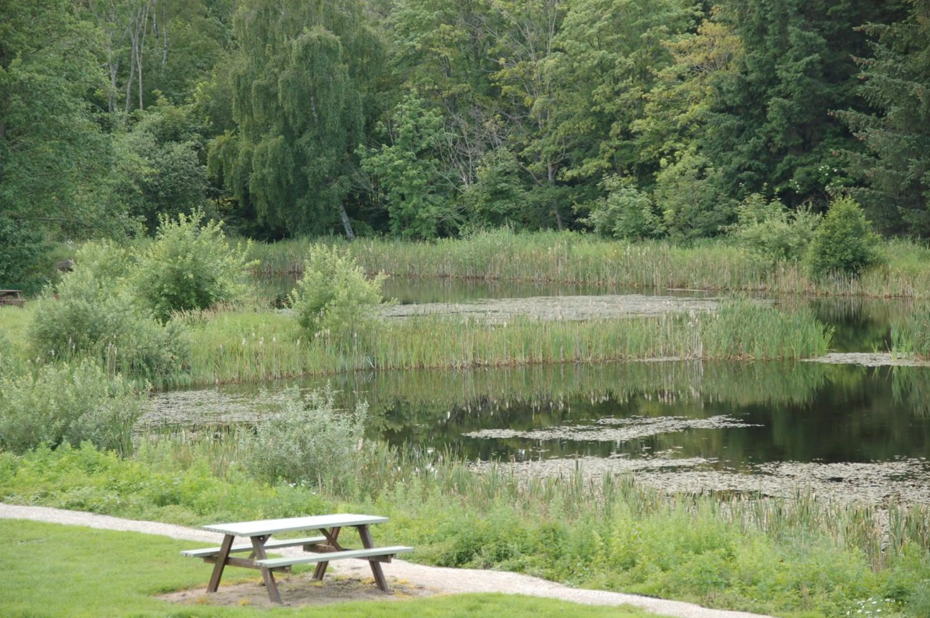 Summer in Gjerrild Kro