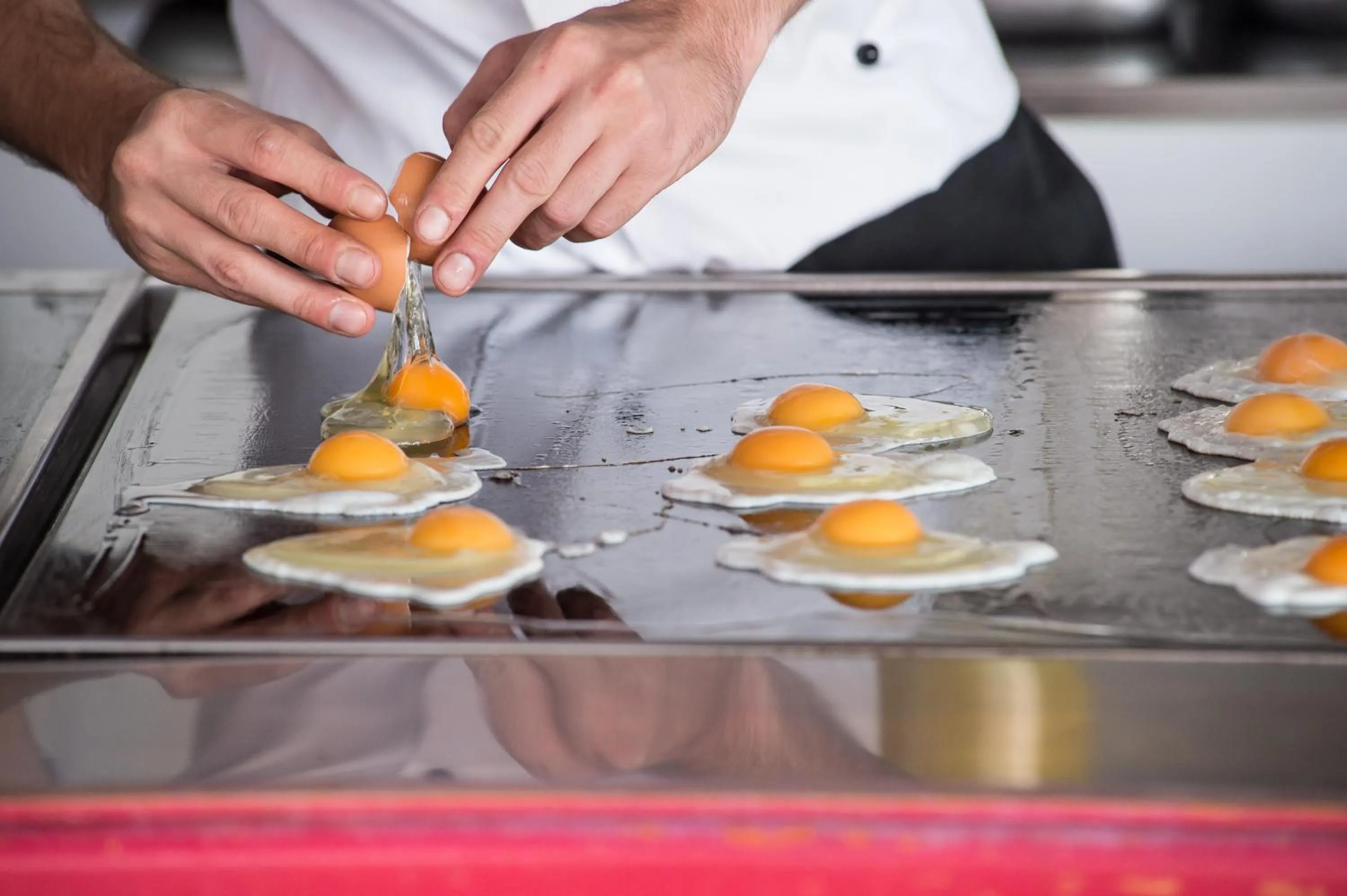 Restaurant/places to eat in Hotel Cesare Augustus