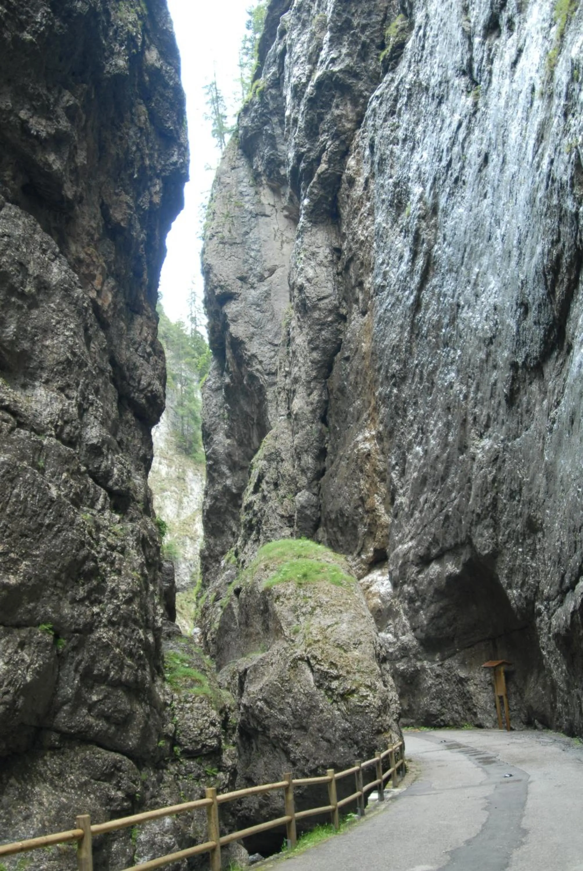 Area and facilities in Apartments Sol E Nef