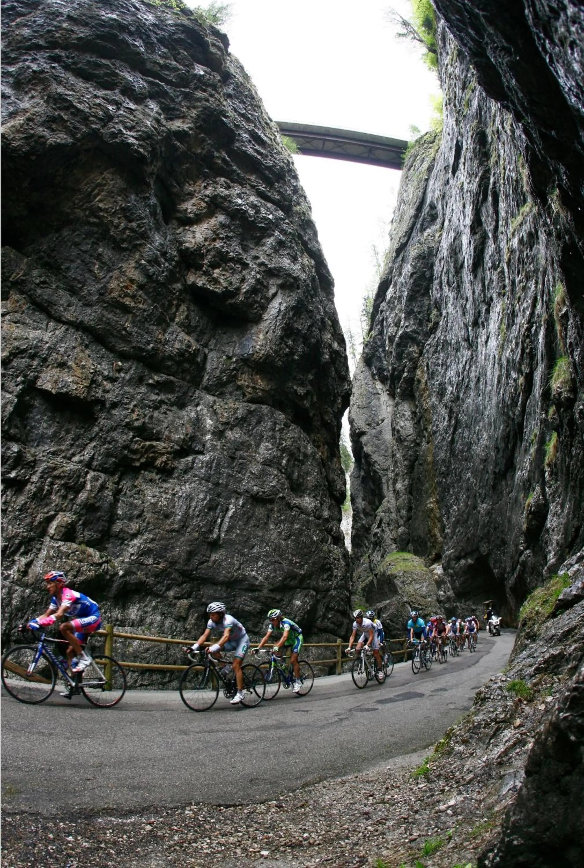 Area and facilities in Apartments Sol E Nef