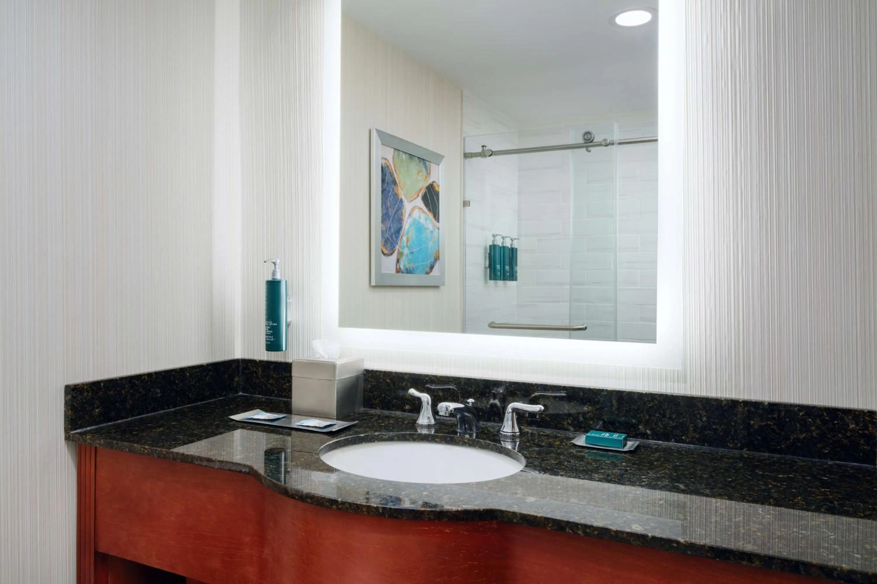 Bathroom in DoubleTree by Hilton Greensboro