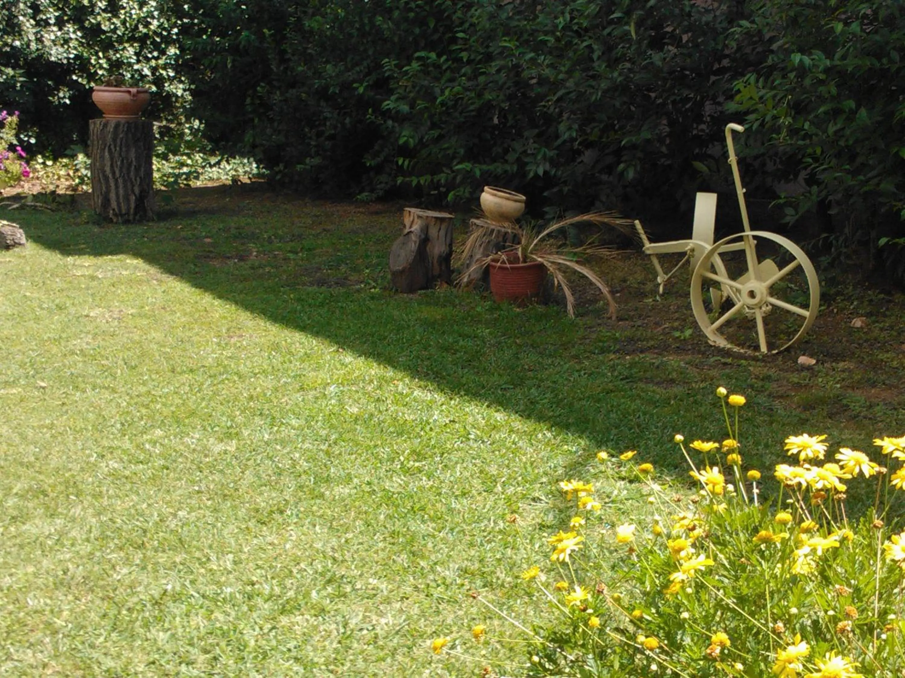 Garden in Avaton Hotel