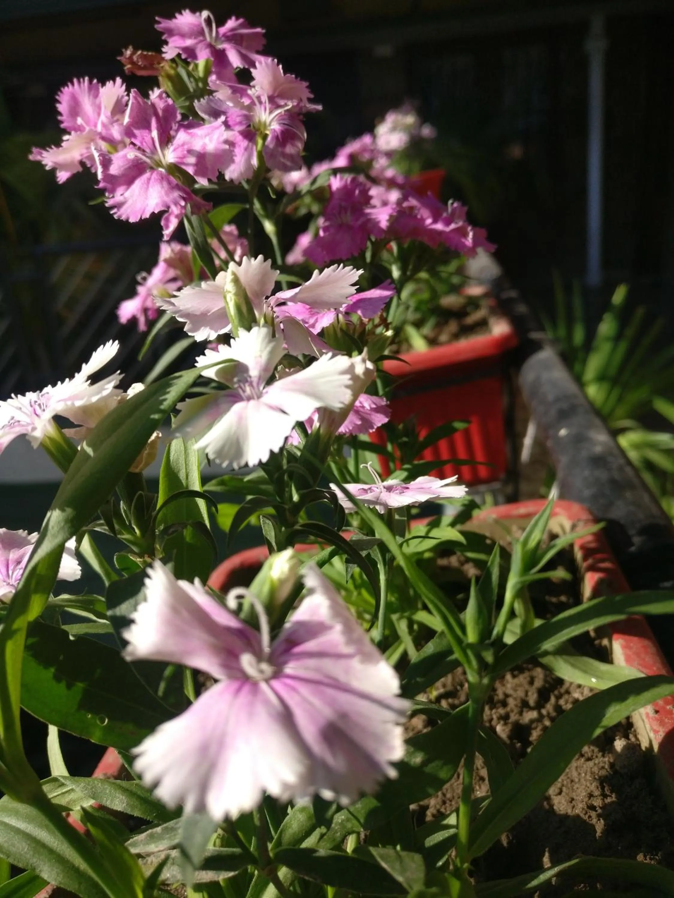 Winter in Hotel Embassy