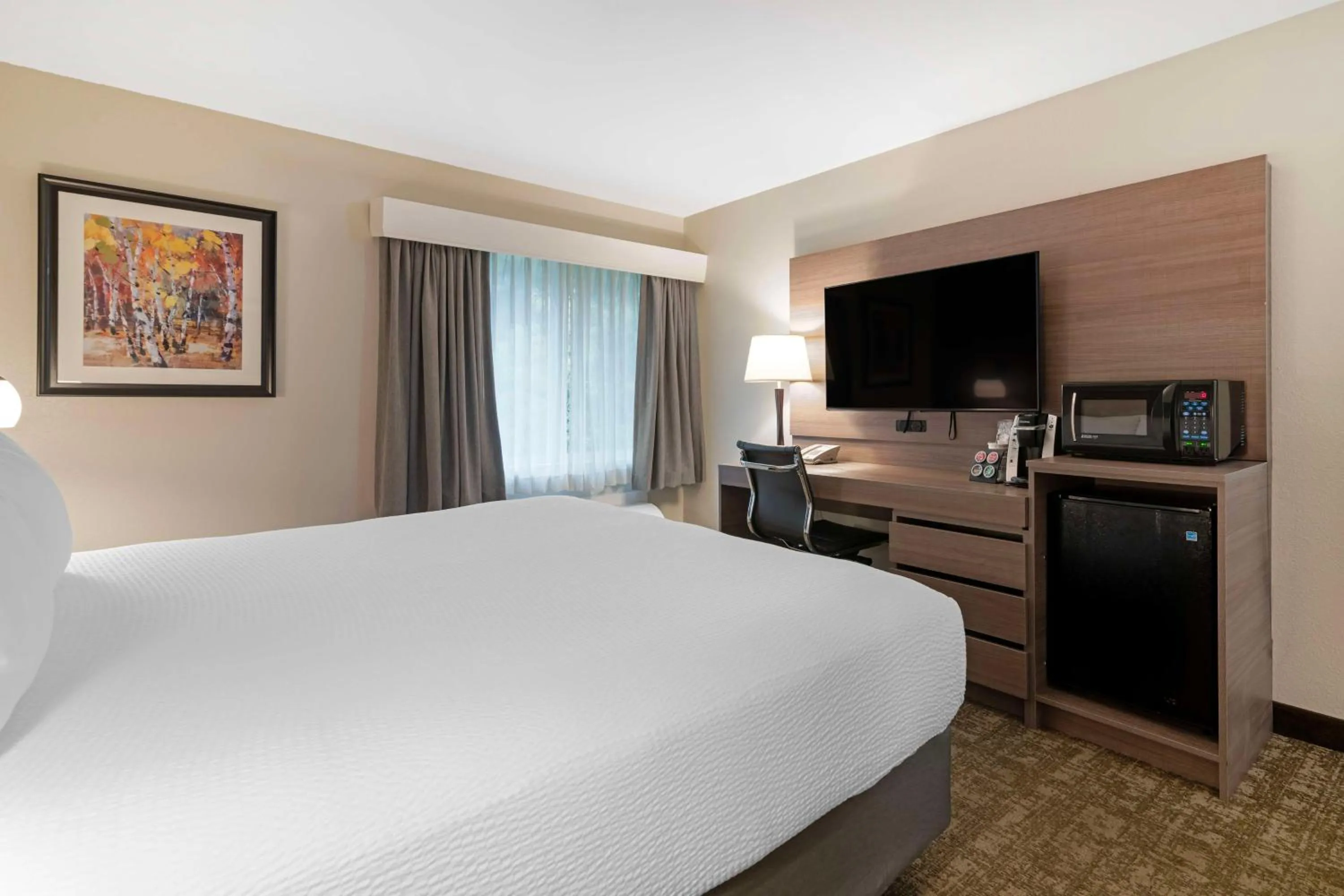 Bedroom, Bed in Best Western Plus Windjammer Inn & Conference Center