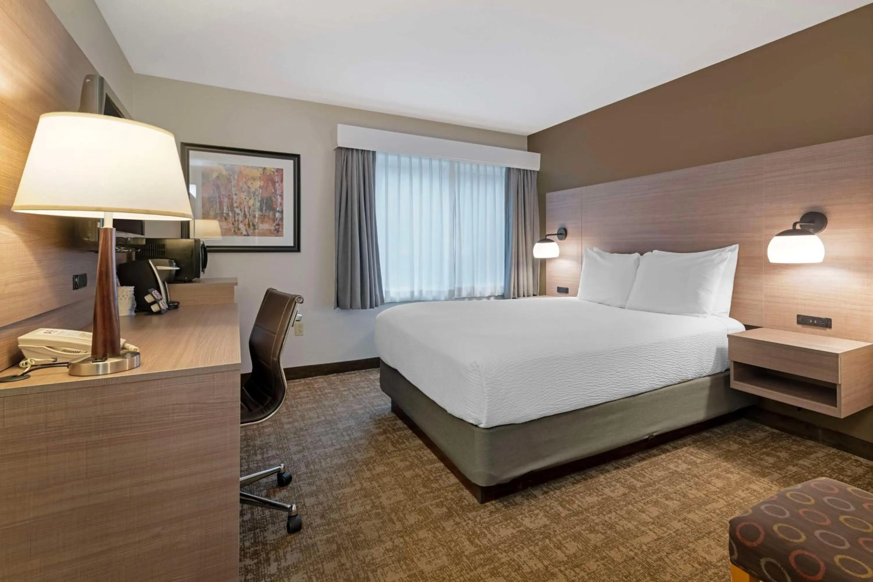 Bedroom, Bed in Best Western Plus Windjammer Inn & Conference Center