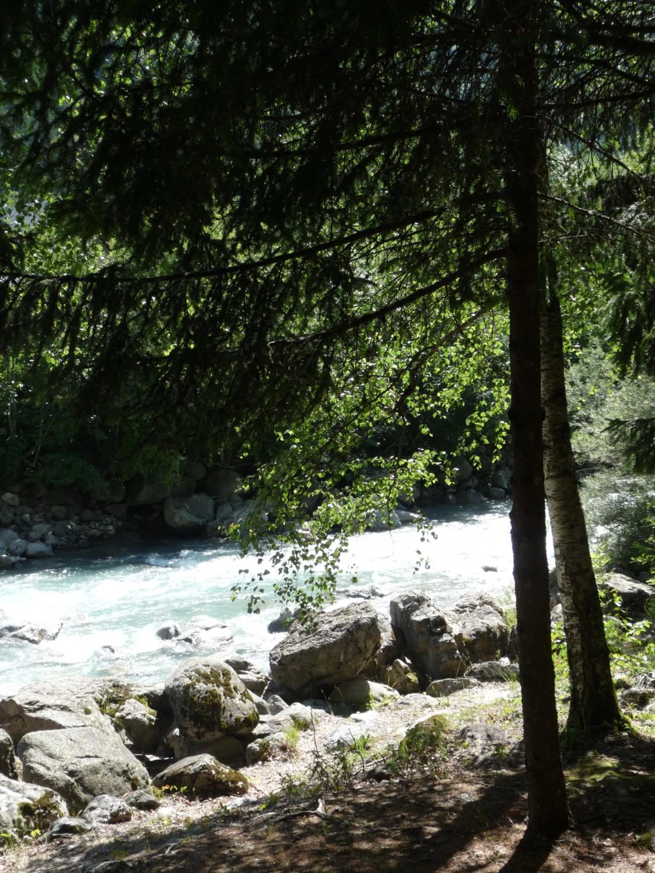 Garden in Chateau De La Muzelle