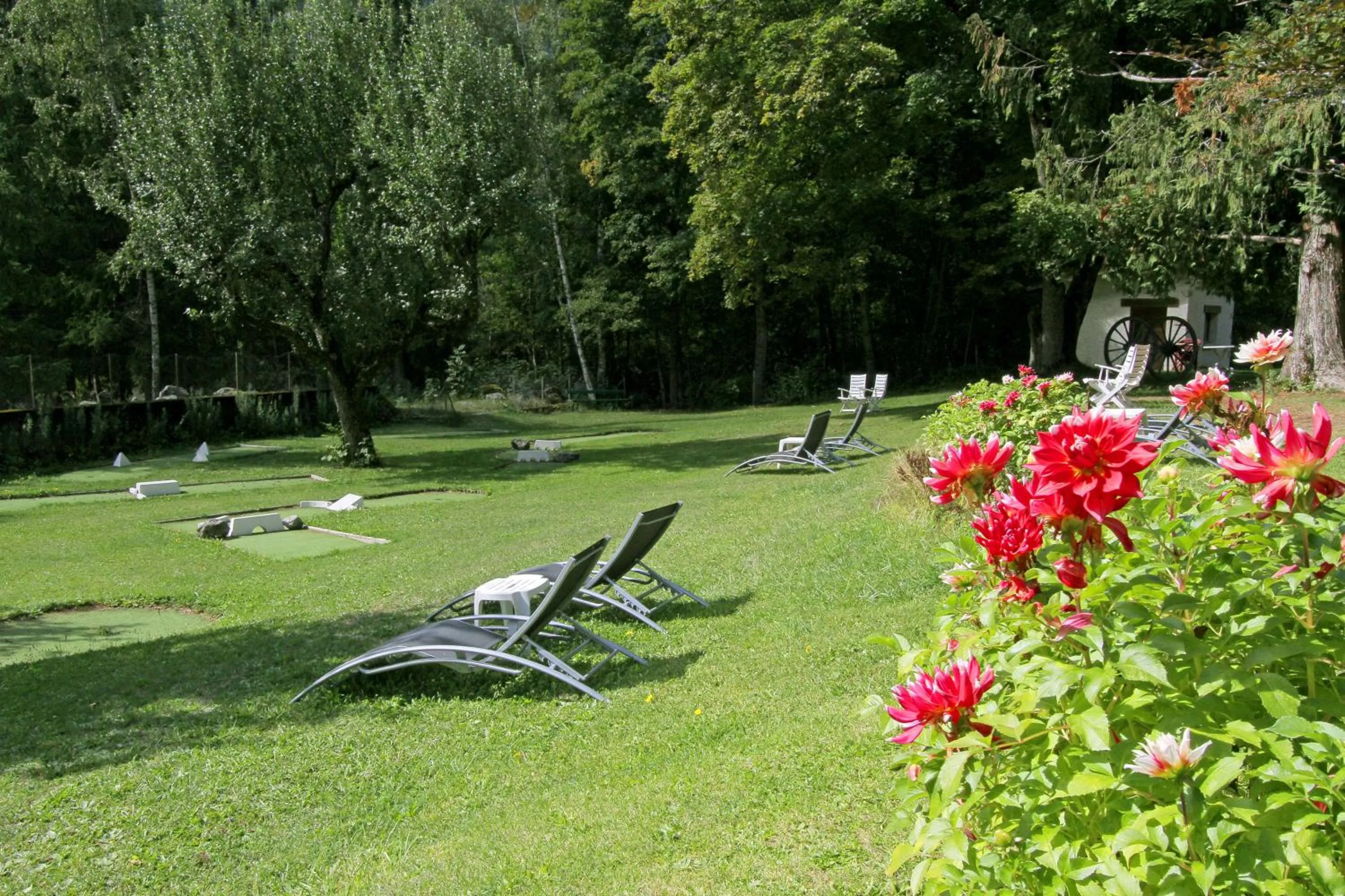 Garden in Chateau De La Muzelle