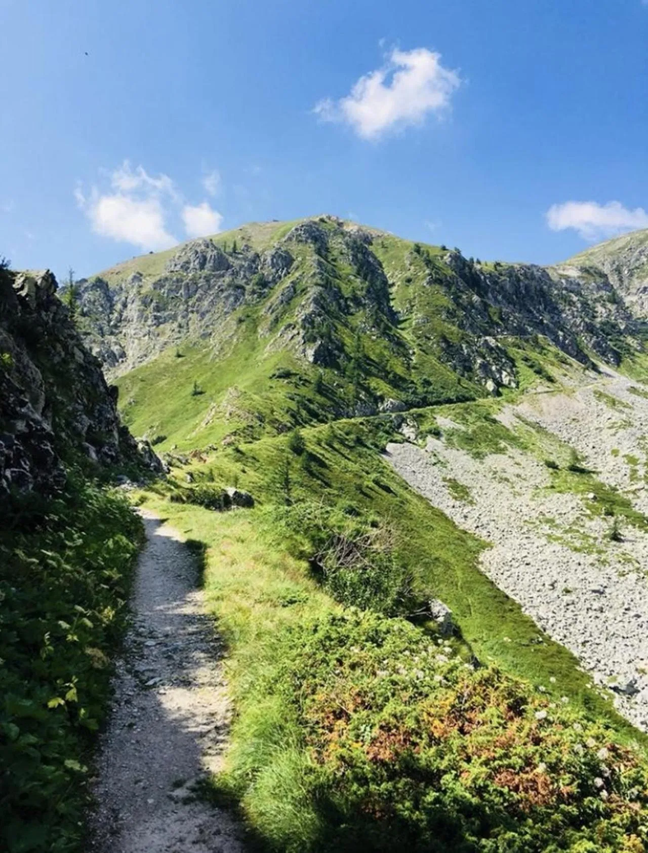 Natural landscape in Chalet Morel 1586 Hotel & Spa