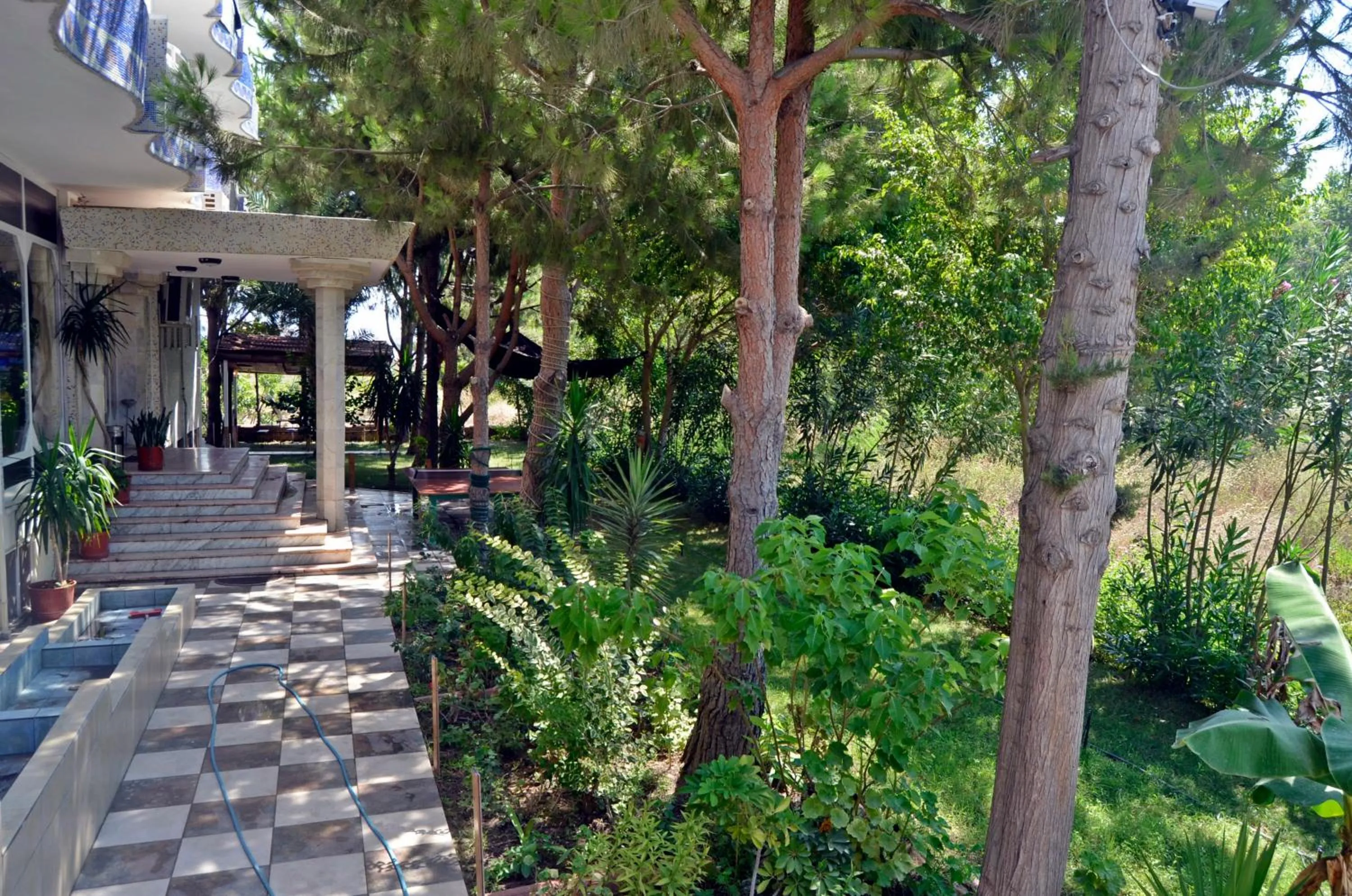 Garden in Selinus Beach Club Hotel