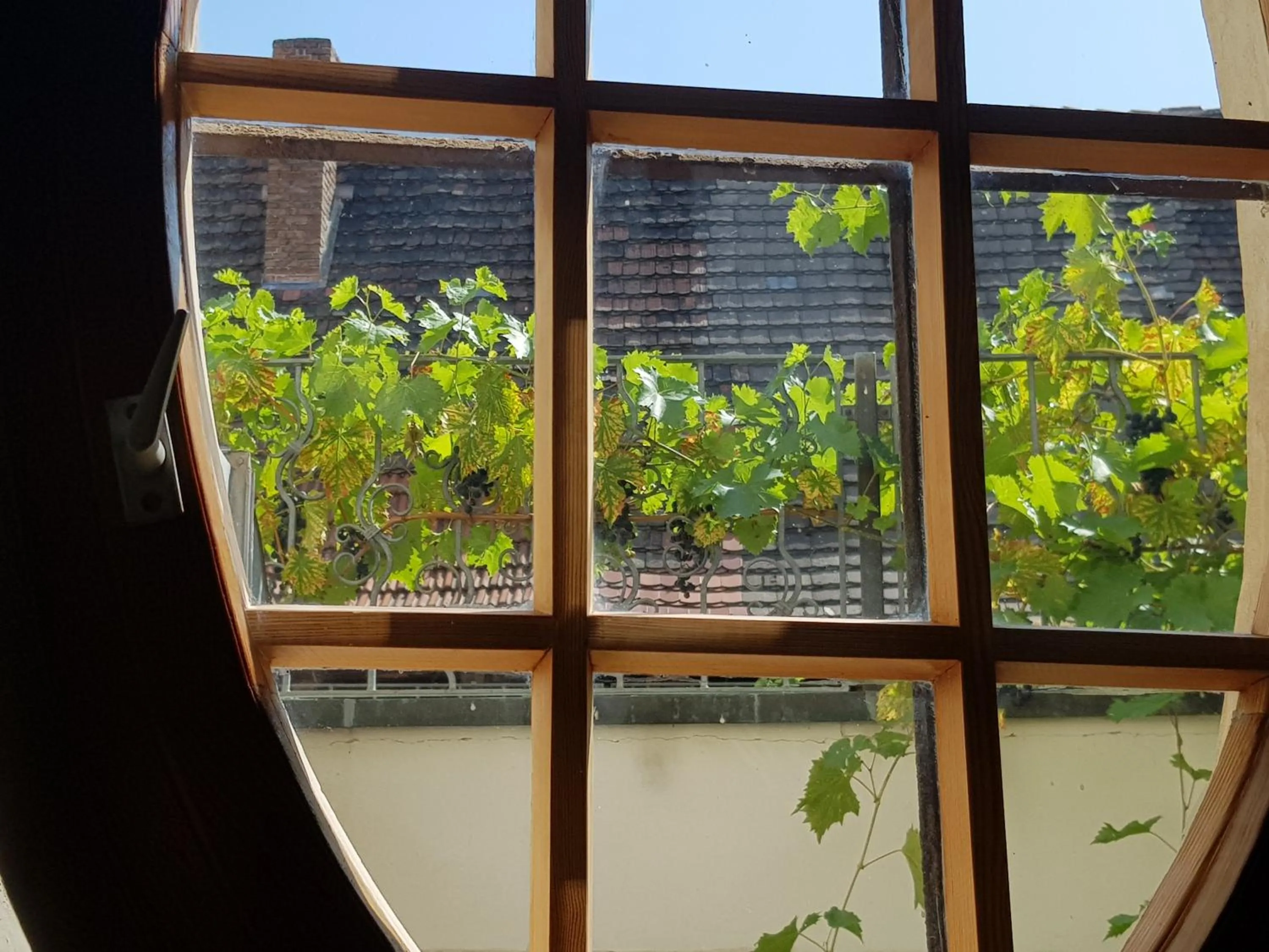 Balcony/Terrace in Hotel Restaurant Toscana Naumburg