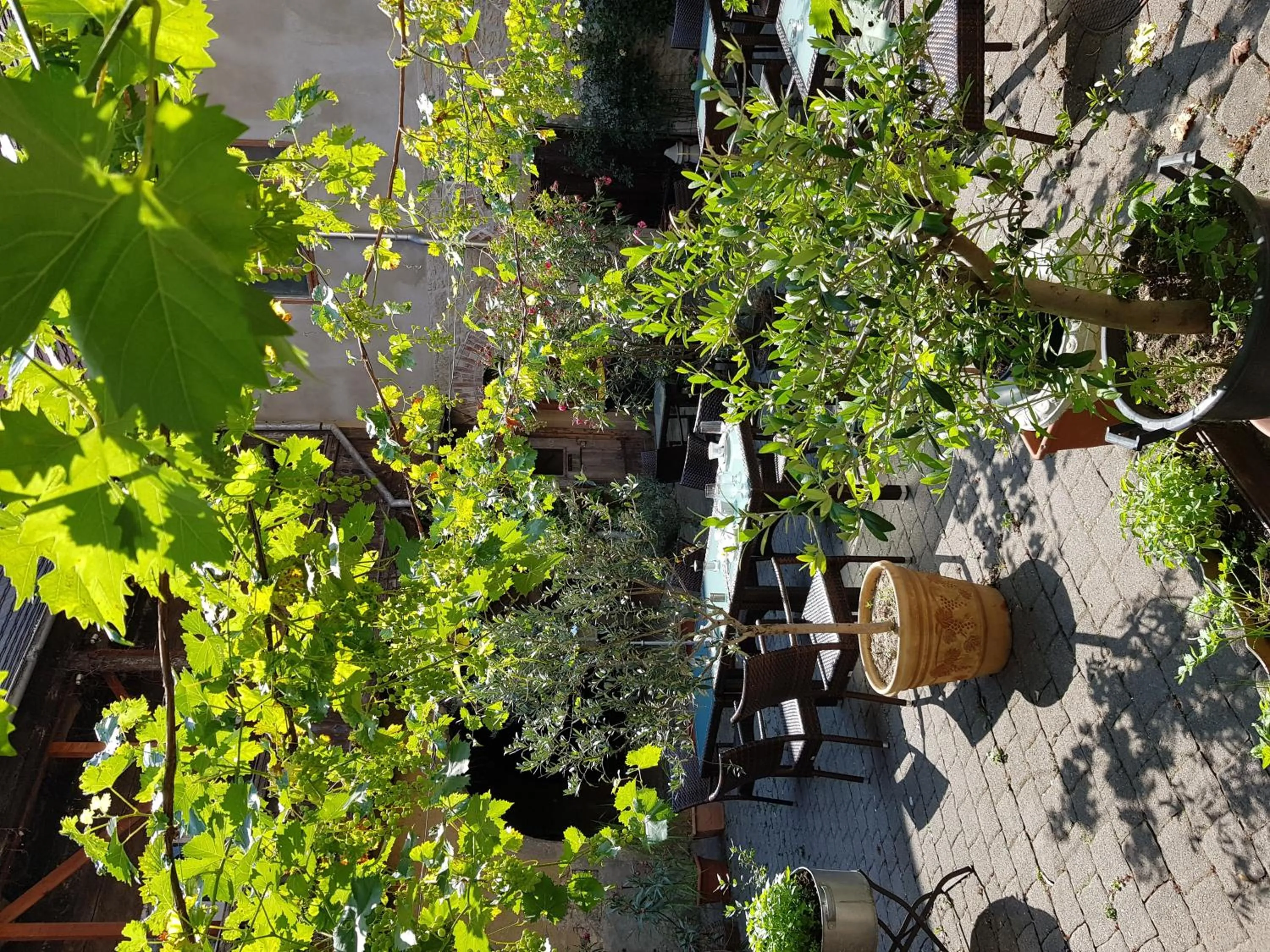 Patio in Hotel Restaurant Toscana Naumburg