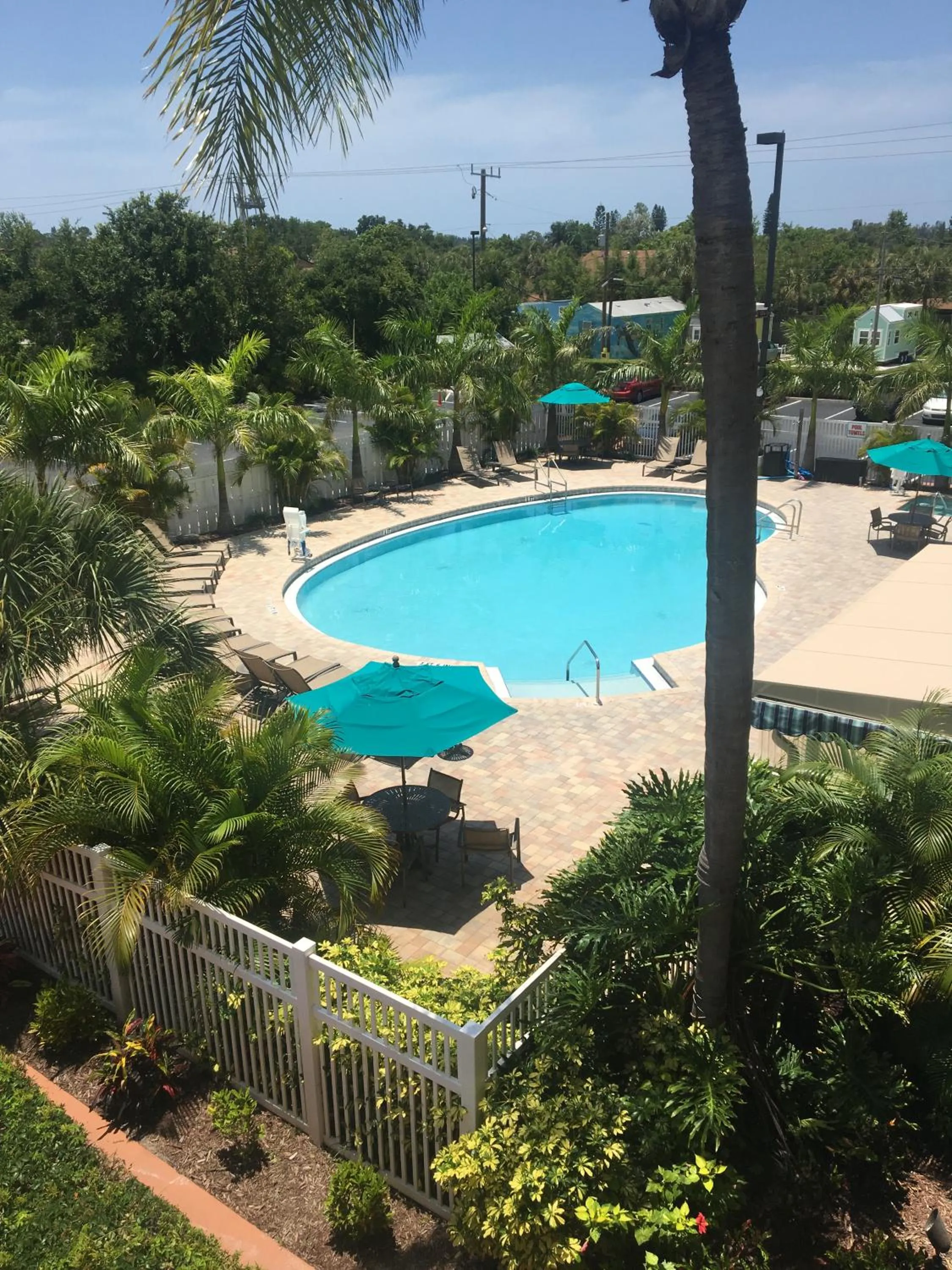 Swimming pool in Spark by Hilton Sarasota Siesta Key Gateway