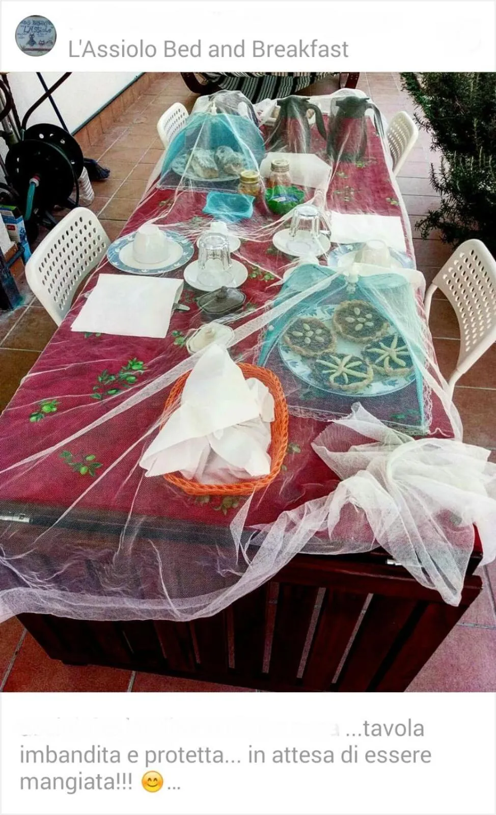 Summer in B&B L'Assiolo