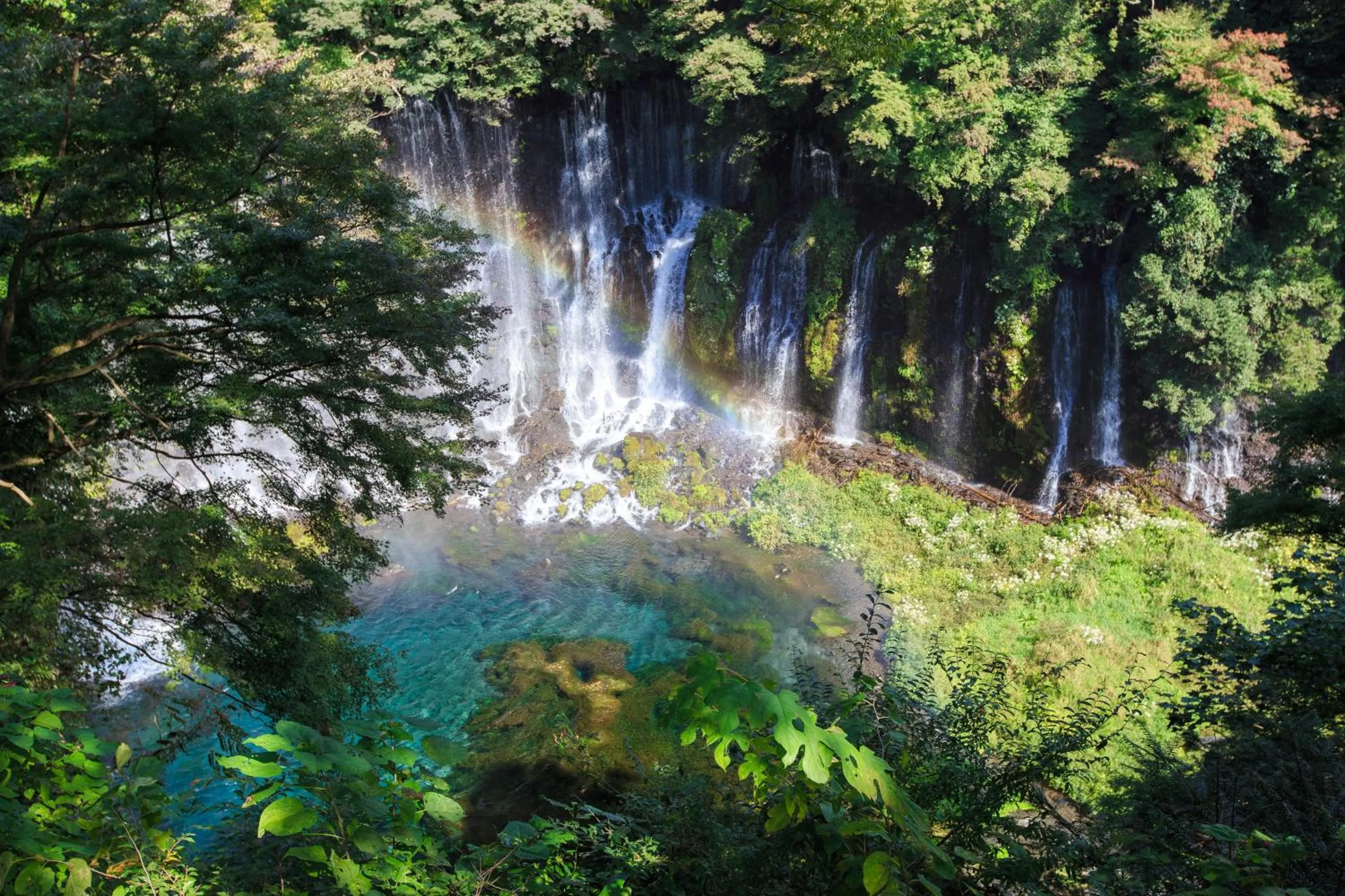 Natural landscape in GOTEN TOMOE residence